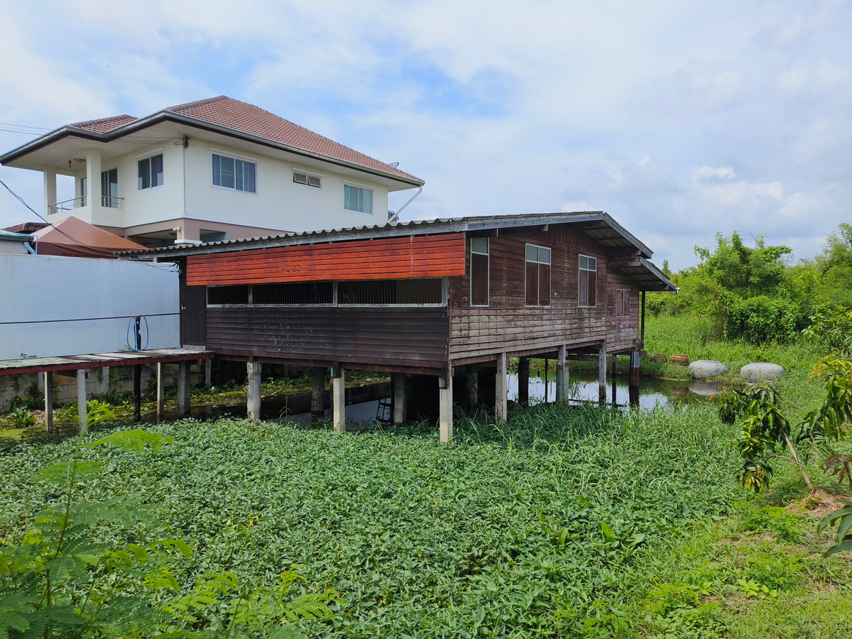 ขายบ้านนครปฐม : บ้านไม้เก่า ติดถนนเหมาะค้าขาย,ร้านอาหาร,ร้านคาเฟ่ ใกล้พุทธมณฑลสาย 7 