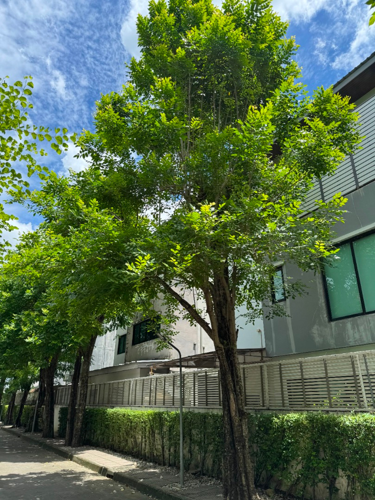 For SaleHousePattanakan, Srinakarin : 🏡 Nirvana Beyond Rama 9–Ramkhamhaeng | Type VolumeX, Fully Furnished and Ready to Move In Price: 17.49 Mb. 📞 065-626-5636 (Kie)