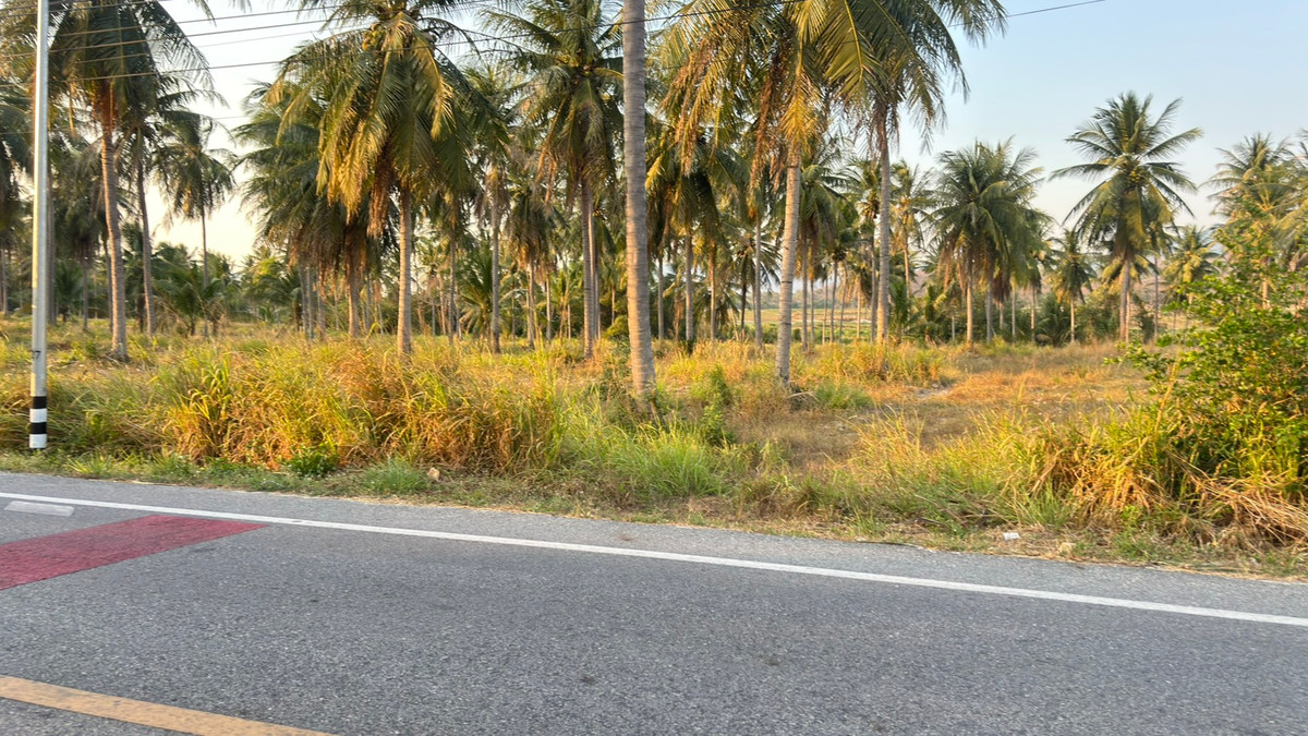 ให้เช่าที่ดินพัทยา บางแสน ชลบุรี สัตหีบ : ที่ดิน 25 ไร่ เขาเขียว บางพระ ชลบุรี / (เช่า), Land 25 rai Khao Khiao Bang Phra Chonburi / (FOR RENT) YEAN092