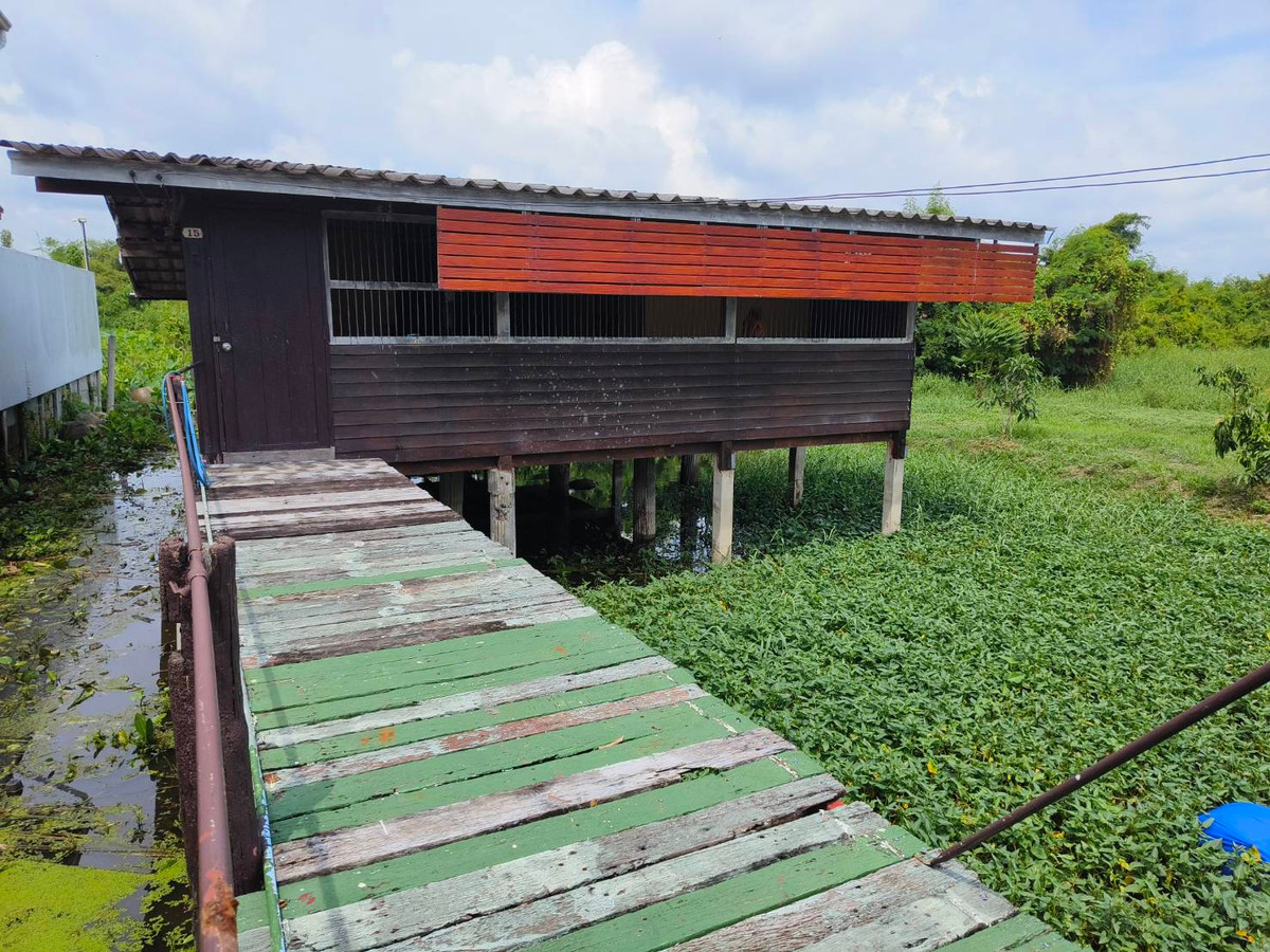 For SaleHouseNakhon Pathom : Old wooden house next to the road, suitable for business, restaurants, cafes. Near Phutthamonthon Sai 7