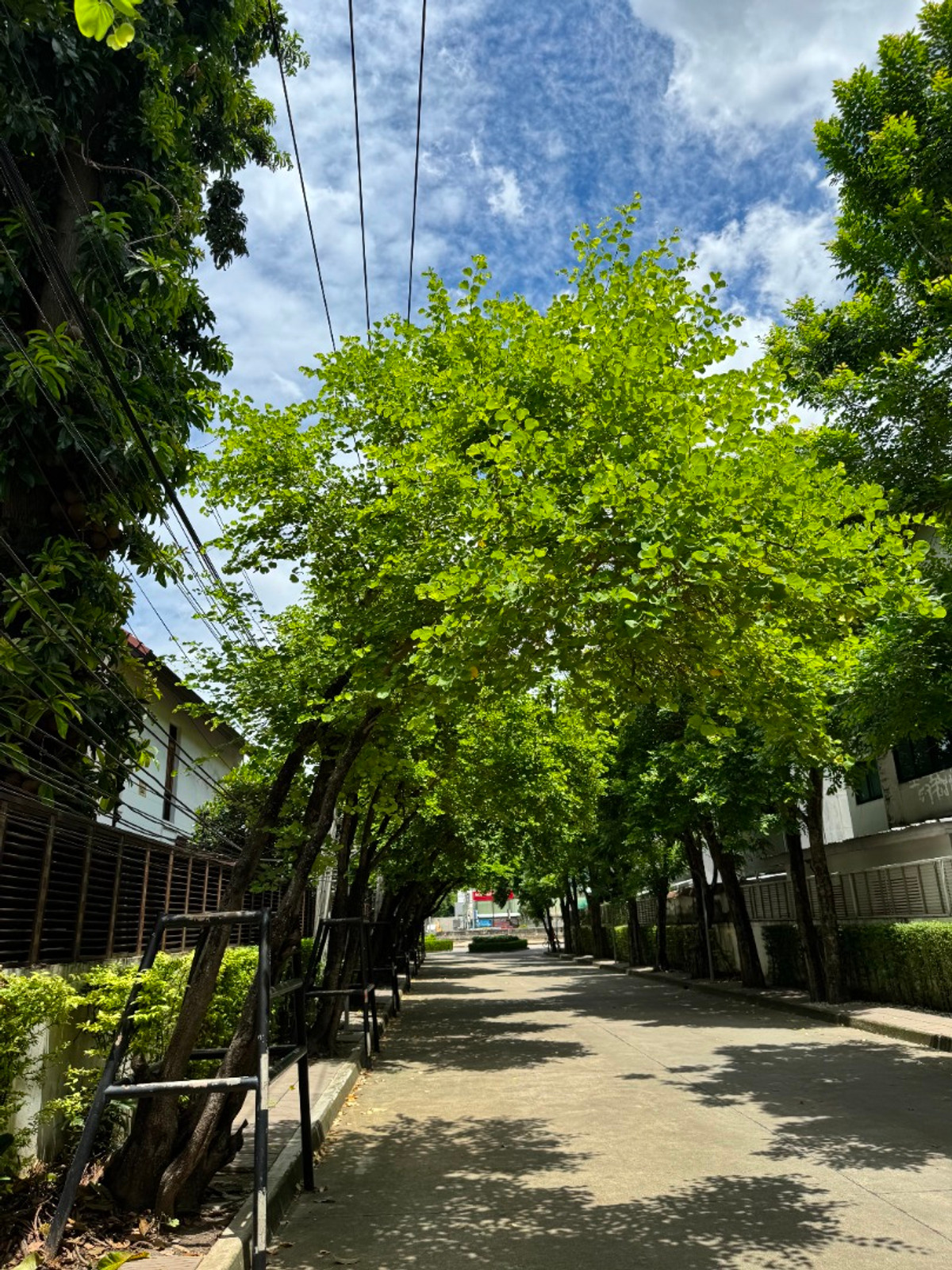 For SaleHousePattanakan, Srinakarin : 🏡 Nirvana Beyond Rama 9–Ramkhamhaeng | Type VolumeX, Fully Furnished and Ready to Move In Price: 17.49 Mb. 📞 065-626-5636 (Kie)