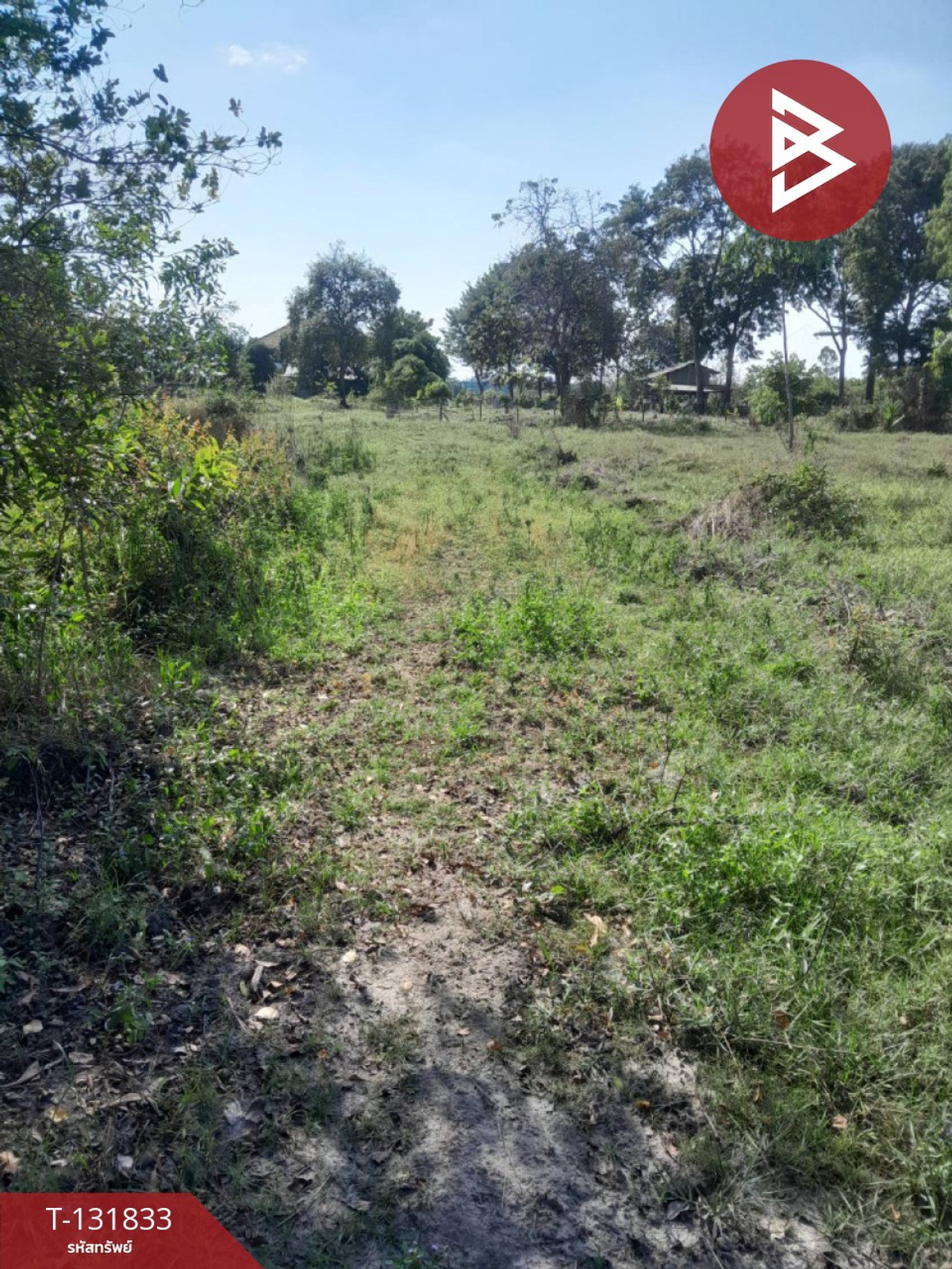 ขายที่ดินระยอง : ขายที่ดิน เนื้อที่ 3 ไร่ 1 งาน 47.1 ตารางวา ต.ตะพง ระยอง