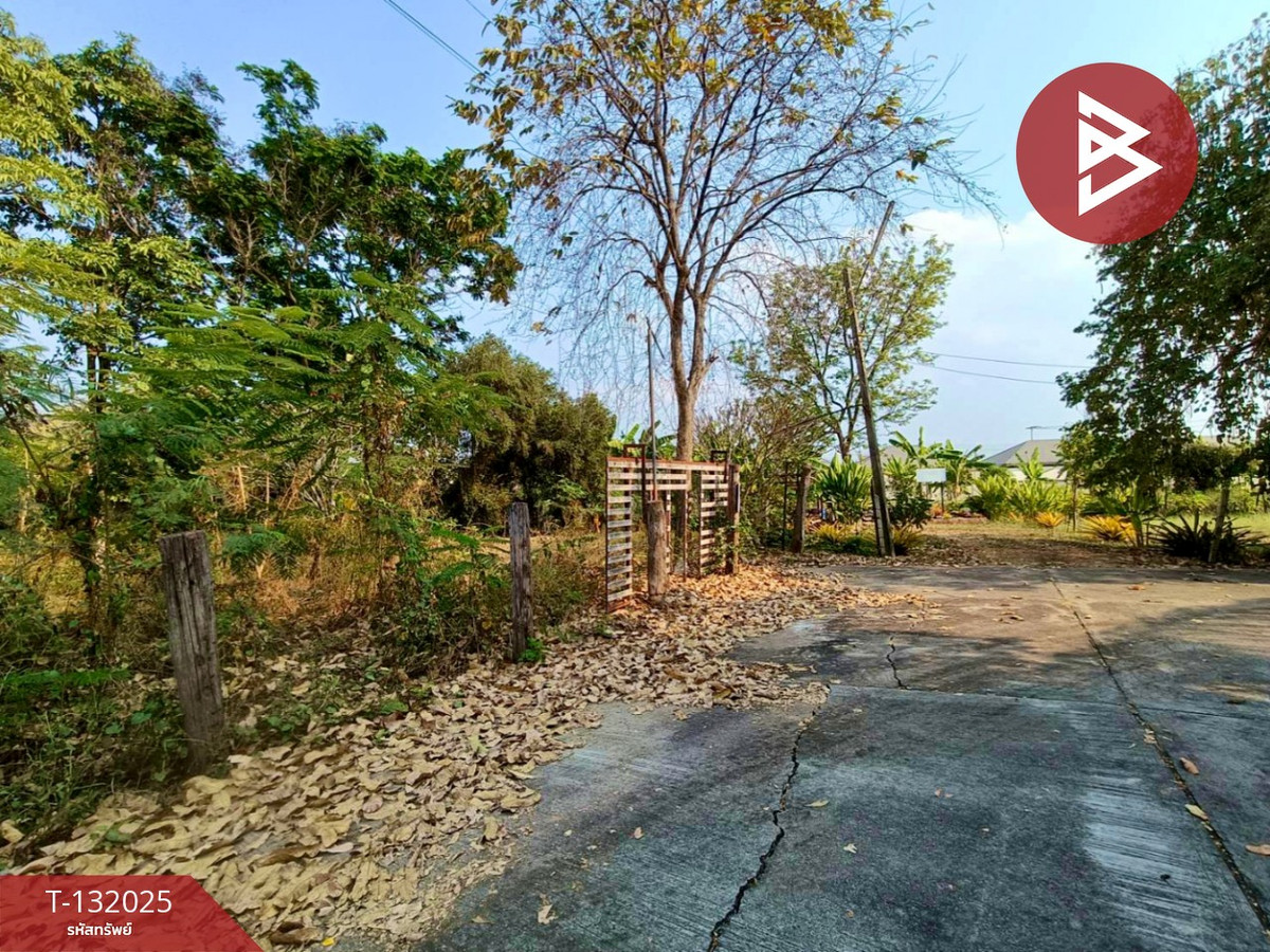 For SaleLandRatchaburi : Land for sale, already filled, area 5 rai 61.9 square wa, Phong Sawai, Ratchaburi.