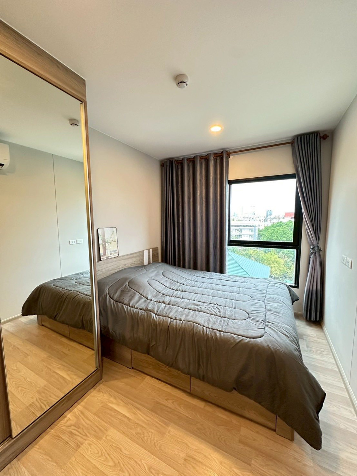 ให้เช่าคอนโดอ่อนนุช อุดมสุข : 🔥เช่าด่วน Low Rise🔥 Plum condo sukhumvit 97.1 ‼️ห้องใหญ่ ใหม่เอี่ยม สวย ราคาดี💥 มีรถรับ-ส่ง บางจาก เดินทางสะดวก‼️