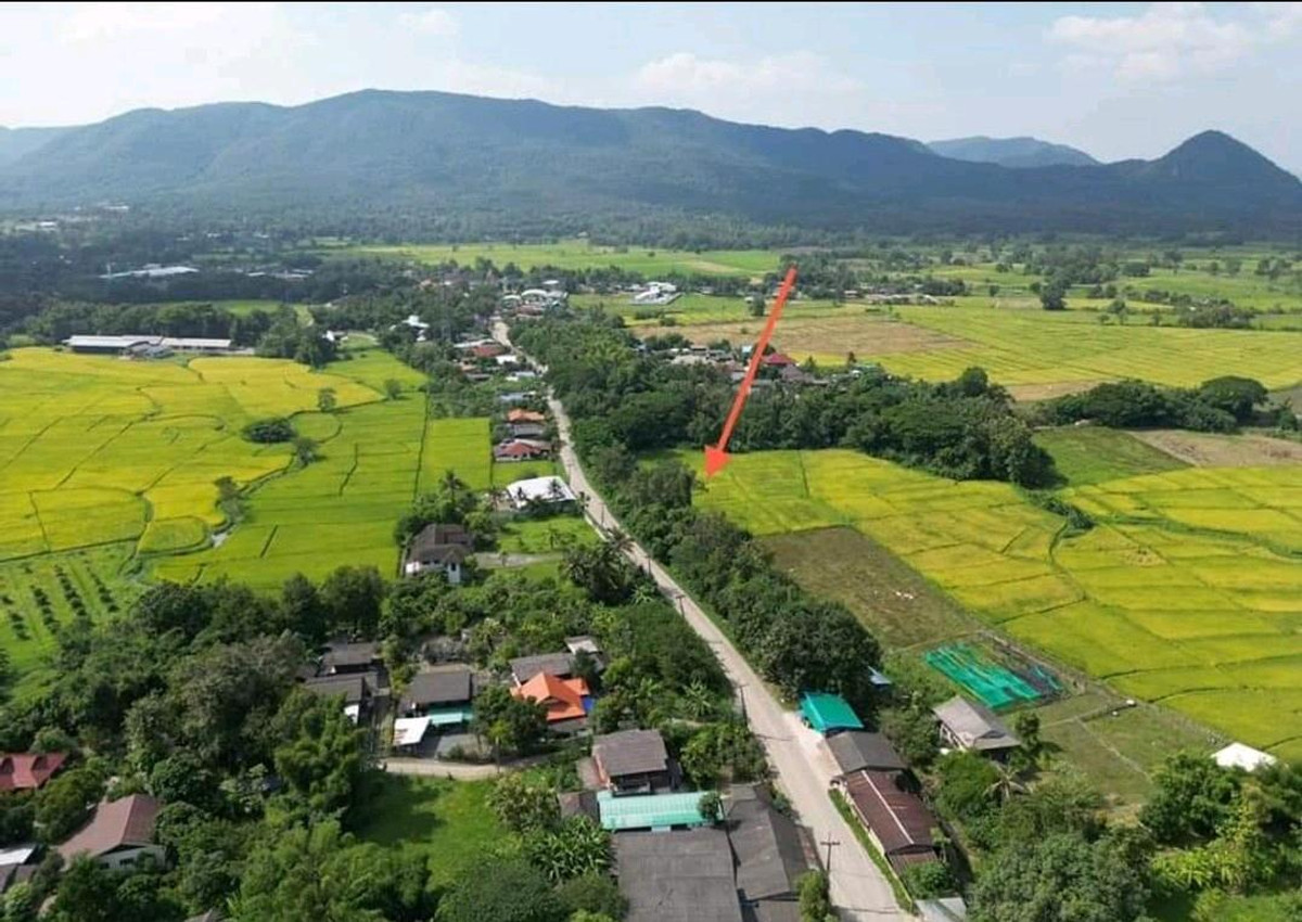For SaleLandChiang Mai : Land for sale in On Klang, San Kamphaeng.