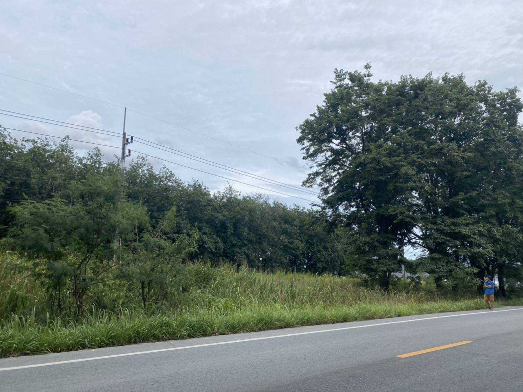 ขายที่ดินระยอง : ขาย ที่ดิน ใน EEC ผังสีเหลือง 24 ไร่ 2 งาน 19.80 ตรว