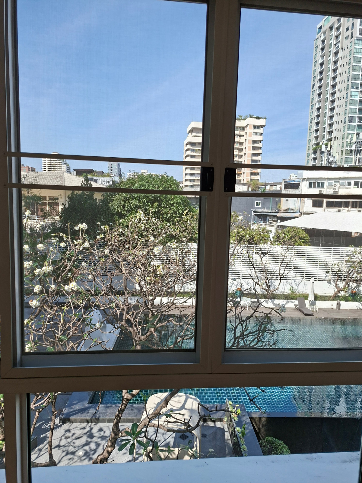 For RentCondoSukhumvit, Asoke, Thonglor : Pool view room, 4 bedrooms for rent.