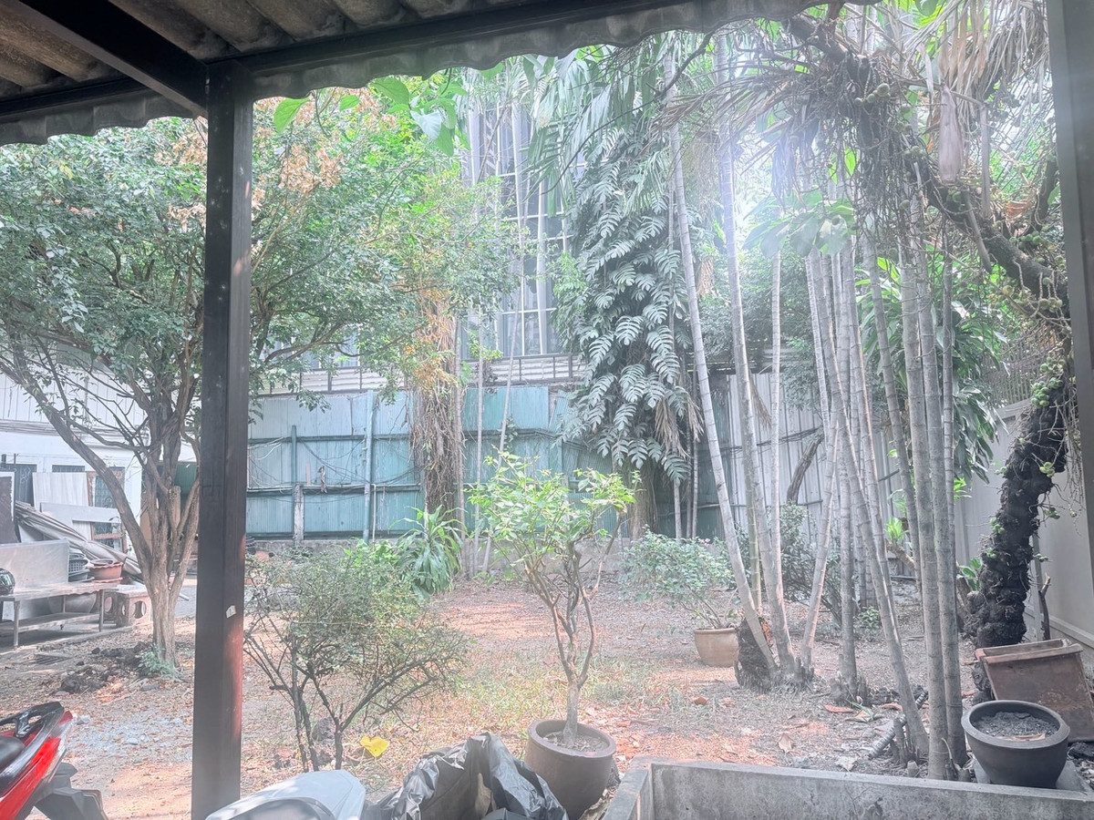 For RentHouseSukhumvit, Asoke, Thonglor : Standalone House for Rent Near Asok BTS for Business Renovation