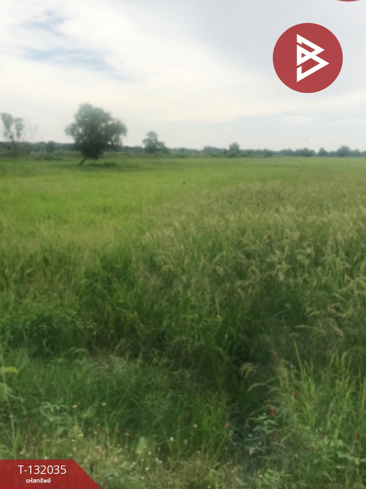 For SaleLandPattaya, Bangsaen, Chonburi : Land for sale, area 11 rai 28 sq m, Phanat Nikhom, Chonburi