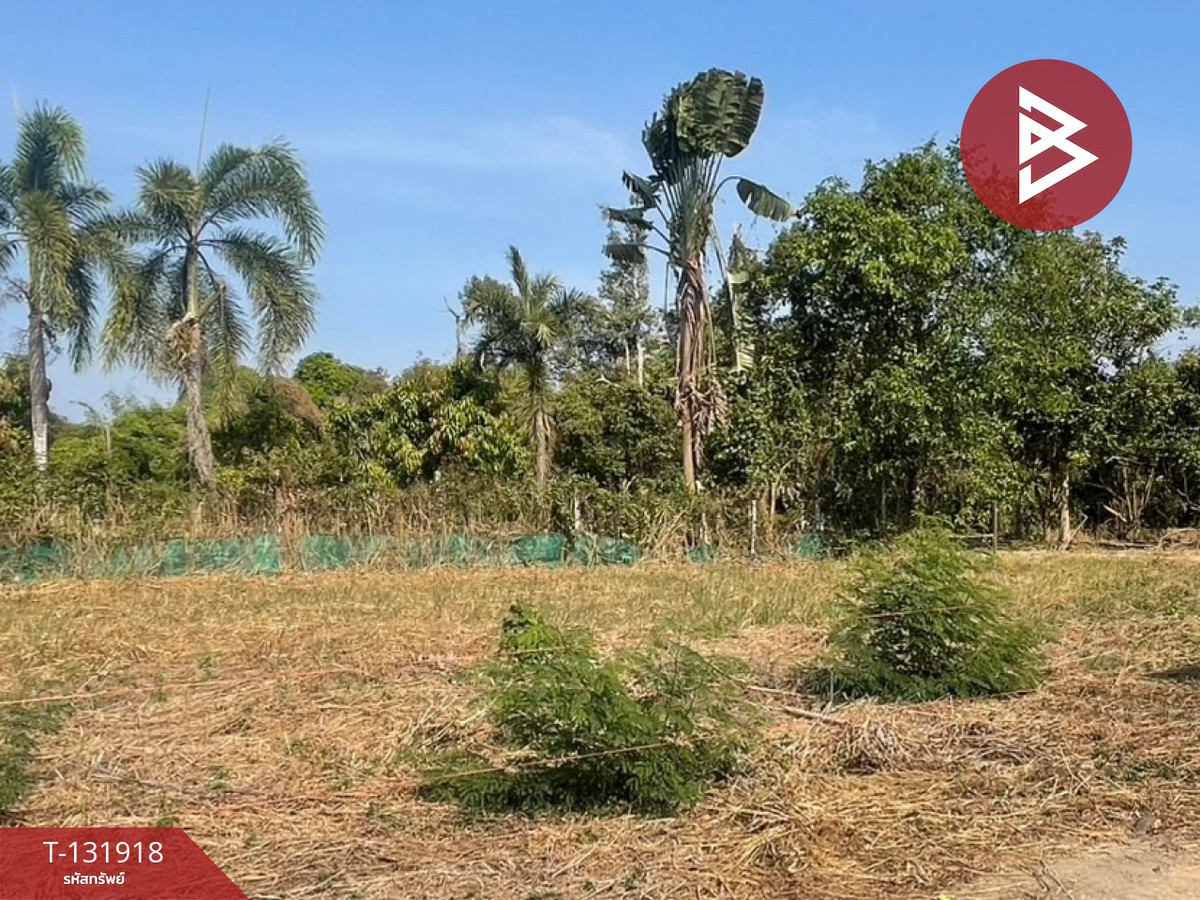 ขายที่ดินระยอง : ขายที่ดิน เนื้อที่ 1 งาน ตะพง ระยอง