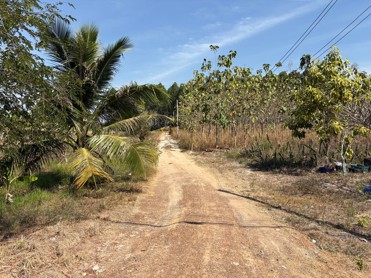 ขายที่ดินพัทยา บางแสน ชลบุรี สัตหีบ : ที่ดิน 2 ไร่ บ้านเม็ก พนัสนิคม ถูกกว่านี้หาไม่ได้แล้ว