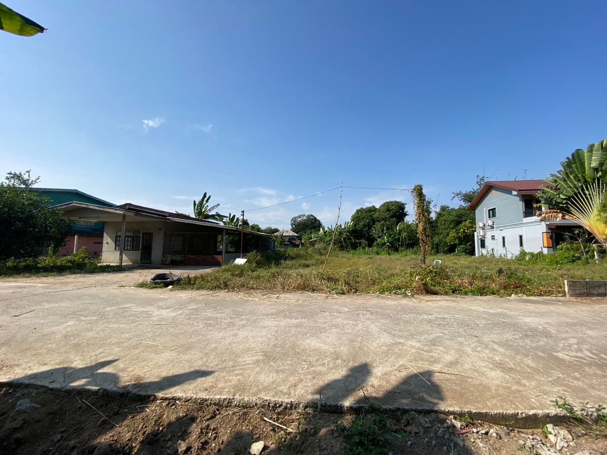 ขายที่ดินนครสวรรค์ : 📢 ✴️ ขายที่ดิน ✴️ อ.เมืองนครสวรรค์ ต.บ้านมะเกลือ  เขตติดต่อ อ.เก้าเลี้ยว ต.มหาโพธิ