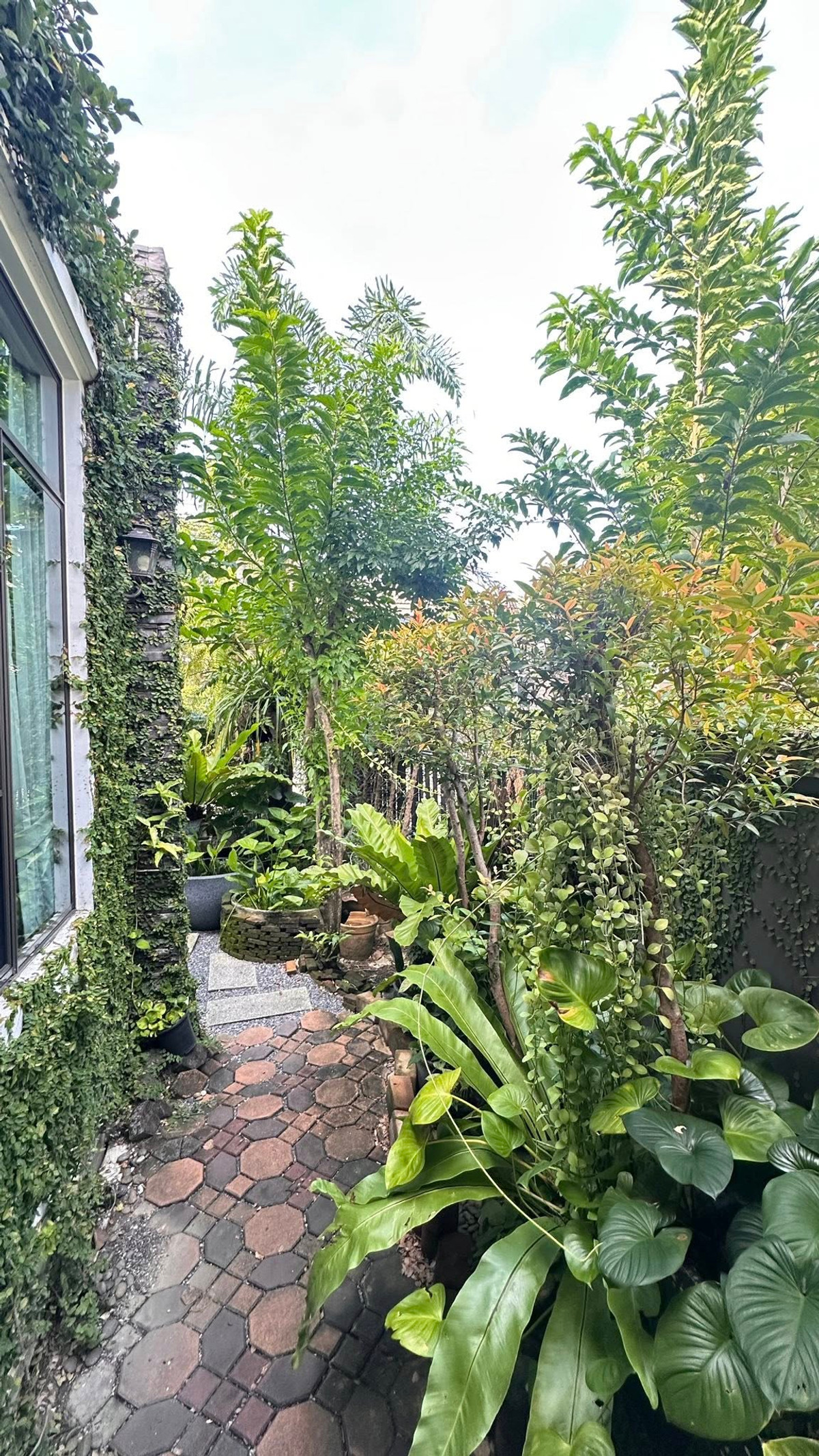 ขายบ้านบางนา แบริ่ง ลาซาล : มัณฑนา ศรีนครินทร์ - บางนา บ้านเดี่ยว 4 ห้องนอน ใกล้เมกาบางนา ตกแต่งวินเทจสไตล์ พร้อมอยู่