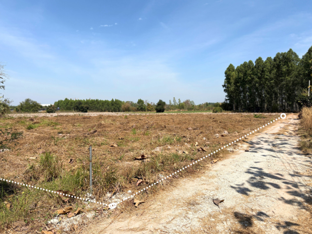 ขายที่ดินพัทยา บางแสน ชลบุรี สัตหีบ : ที่ดิน 2 ไร่ บ้านเม็ก พนัสนิคม ถูกกว่านี้หาไม่ได้แล้ว