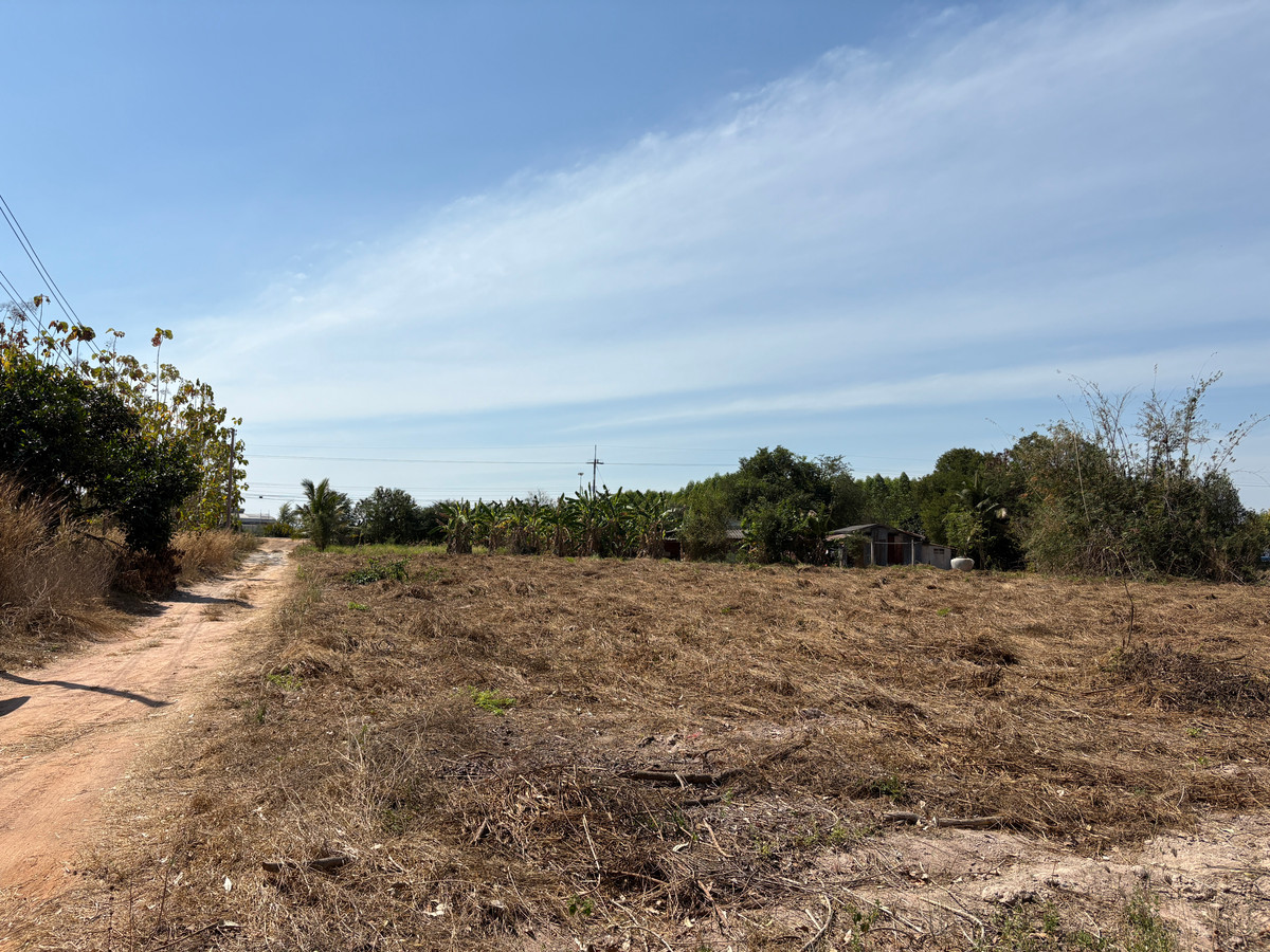 ขายที่ดินพัทยา บางแสน ชลบุรี สัตหีบ : ที่ดิน 2 ไร่ บ้านเม็ก พนัสนิคม ถูกกว่านี้หาไม่ได้แล้ว