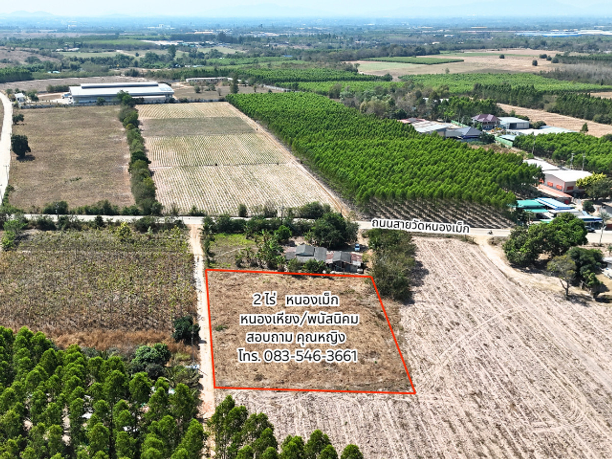 ขายที่ดินพัทยา บางแสน ชลบุรี สัตหีบ : ที่ดิน 2 ไร่ บ้านเม็ก พนัสนิคม ถูกกว่านี้หาไม่ได้แล้ว