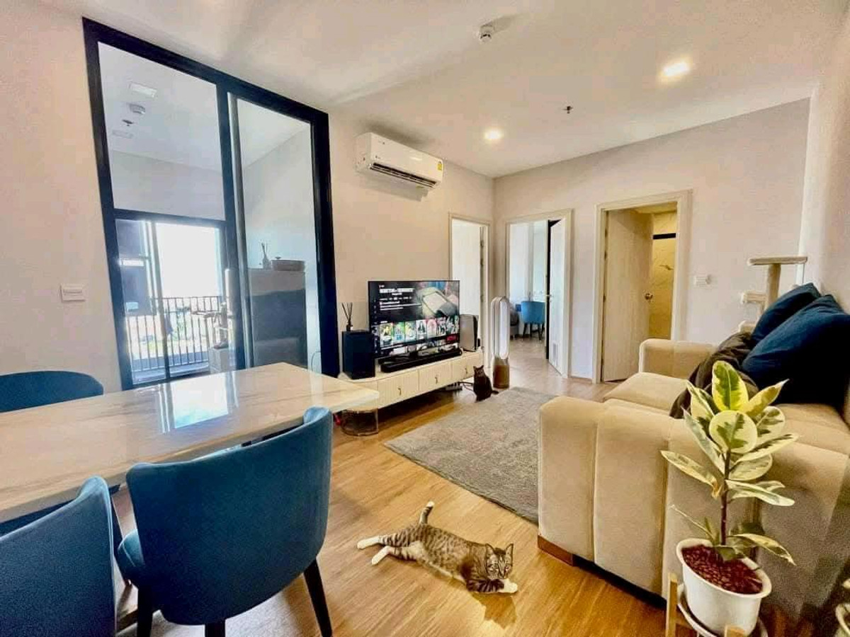 For RentCondoRamkhamhaeng, Hua Mak : 💫💫🐶🐶 New and Modern of High Rise Pet Friendly Condo🐶🐱💫💫