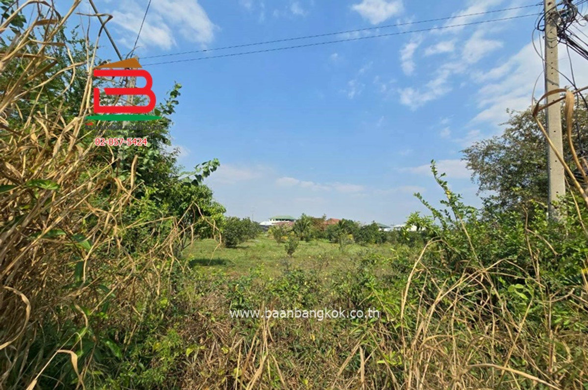 ขายที่ดินพัทยา บางแสน ชลบุรี สัตหีบ : ที่ดิน นาเกลือ-พัทยา (ใกล้เซ็นทรัลพัทยา) เนื้อที่ 4 ไร่ 3 งาน 73 ตรว. ตำบลนาเกลือ อำเภอบางละมุง จังหวัดพัทยา