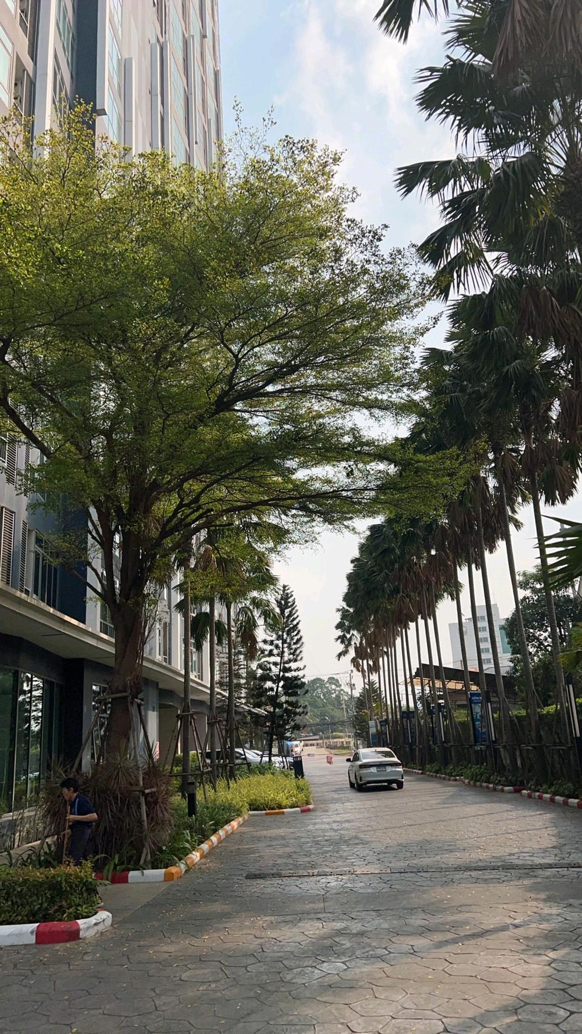 ให้เช่าคอนโดบางซื่อ วงศ์สว่าง เตาปูน : 🔥ให้เช่าด่วน🔥เมโทร สกาย บางซ่อน อินเตอร์เชนจ์ (ประชาชื่น) เฟอร์นิเจอร์ครบพร้อมเข้าอยู่ ติดรถไฟฟ้า 2 สาย