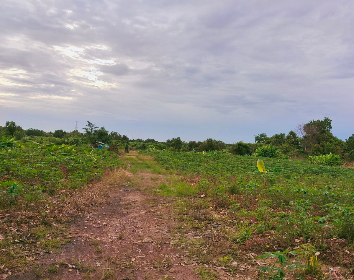 ขายที่ดินจันทบุรี : ขายที่ดินจันทบุรี แปลงใหญ่ 171.5 ไร่ หลังที่ว่าการอำเภอนายายอาม ราคาถูก ทำเลทอง ที่ดินสวนผลไม้แห่งเมืองจันทน์  #ที่ดินติดด้านหลังองค์การบริหารส่วนตำบลนายายอาม