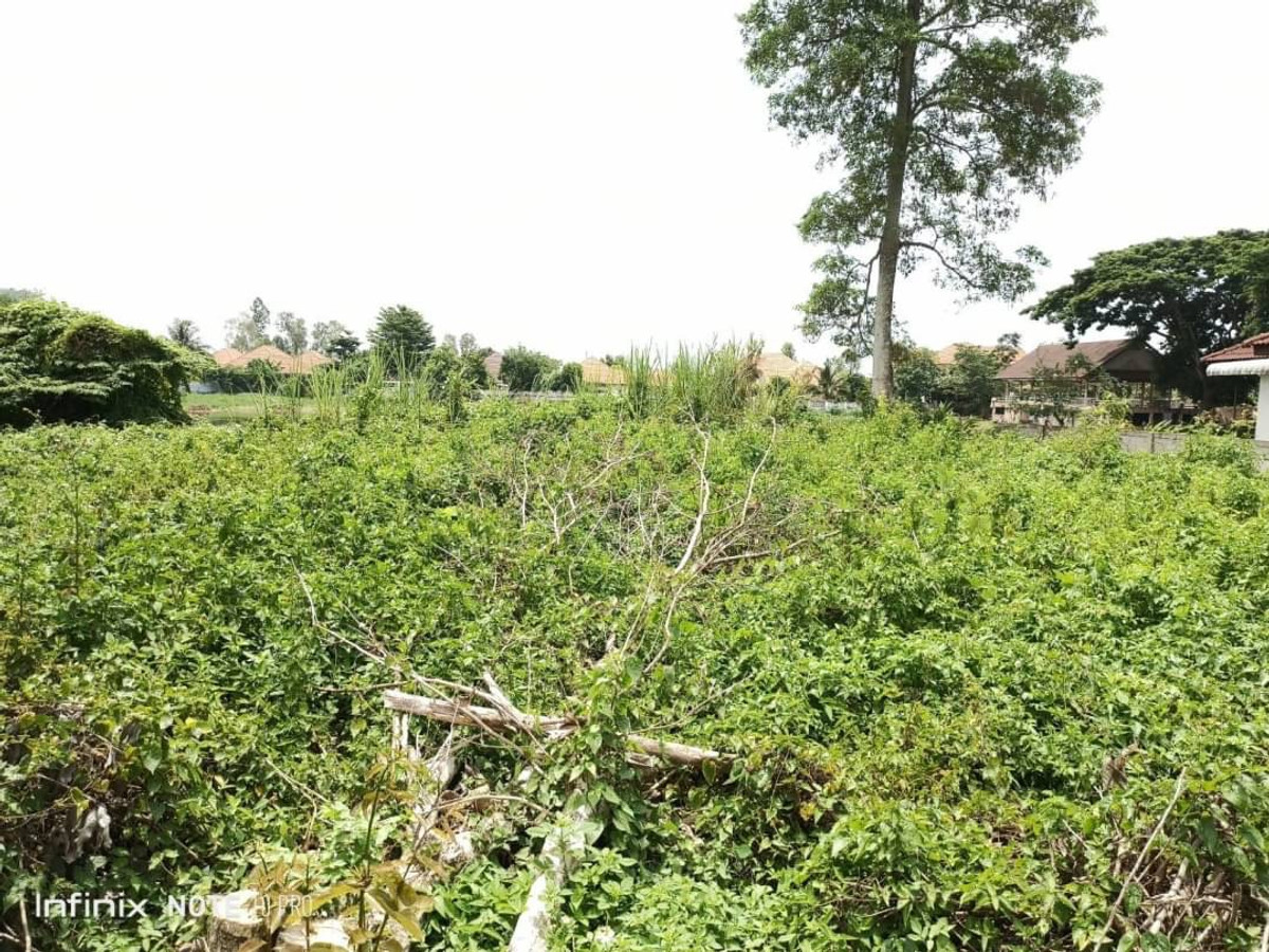 ขายที่ดินเชียงราย : ที่ดิน อ.เมืองเชียงราย ขายเท่าประเมิน 