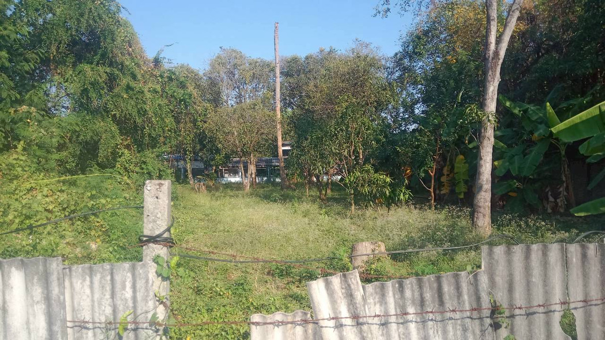 ขายที่ดินบางแค เพชรเกษม : ที่ดิน เพชรเกษม ซอย 88 เนื้อที่ 200 ตารางวา ถนนเพชรเกษม ซอยเพชรเกษม 88 (ชูสังค์ 88) แขวงบางแคเหนือ เขตบางแค กรุงเทพมหานคร