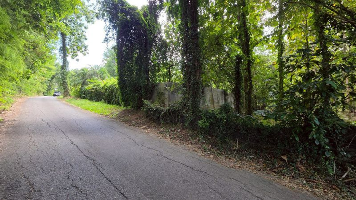 ขายกิจการโรงแรม & กิจการอพาร์ตเมนต์เชียงใหม่ : #ขายที่ดินแม่ริม​ ใกล้ทางขึ้นโป่งแยง ใกล้สวนสัตว์แมลงสยาม เนื้อที่​ 3-2-41 ไร่​ ยกแปลง​ 8.5 ล้าน​