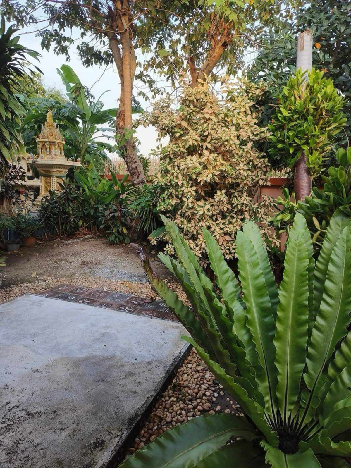 For SaleHouseSamut Prakan,Samrong : Urgent sale single house Kanlapapruek University, Bang Bo, Samut Prakan