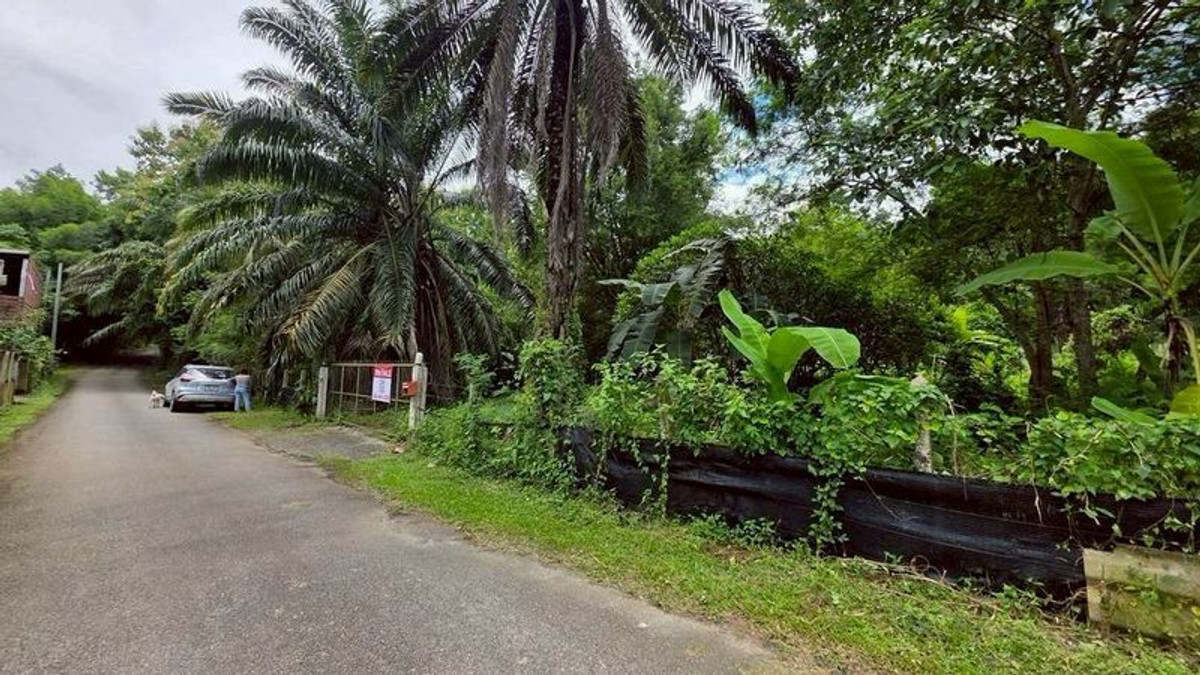 ขายกิจการโรงแรม & กิจการอพาร์ตเมนต์เชียงใหม่ : #ขายที่ดินแม่ริม​ ใกล้ทางขึ้นโป่งแยง ใกล้สวนสัตว์แมลงสยาม เนื้อที่​ 3-2-41 ไร่​ ยกแปลง​ 8.5 ล้าน​