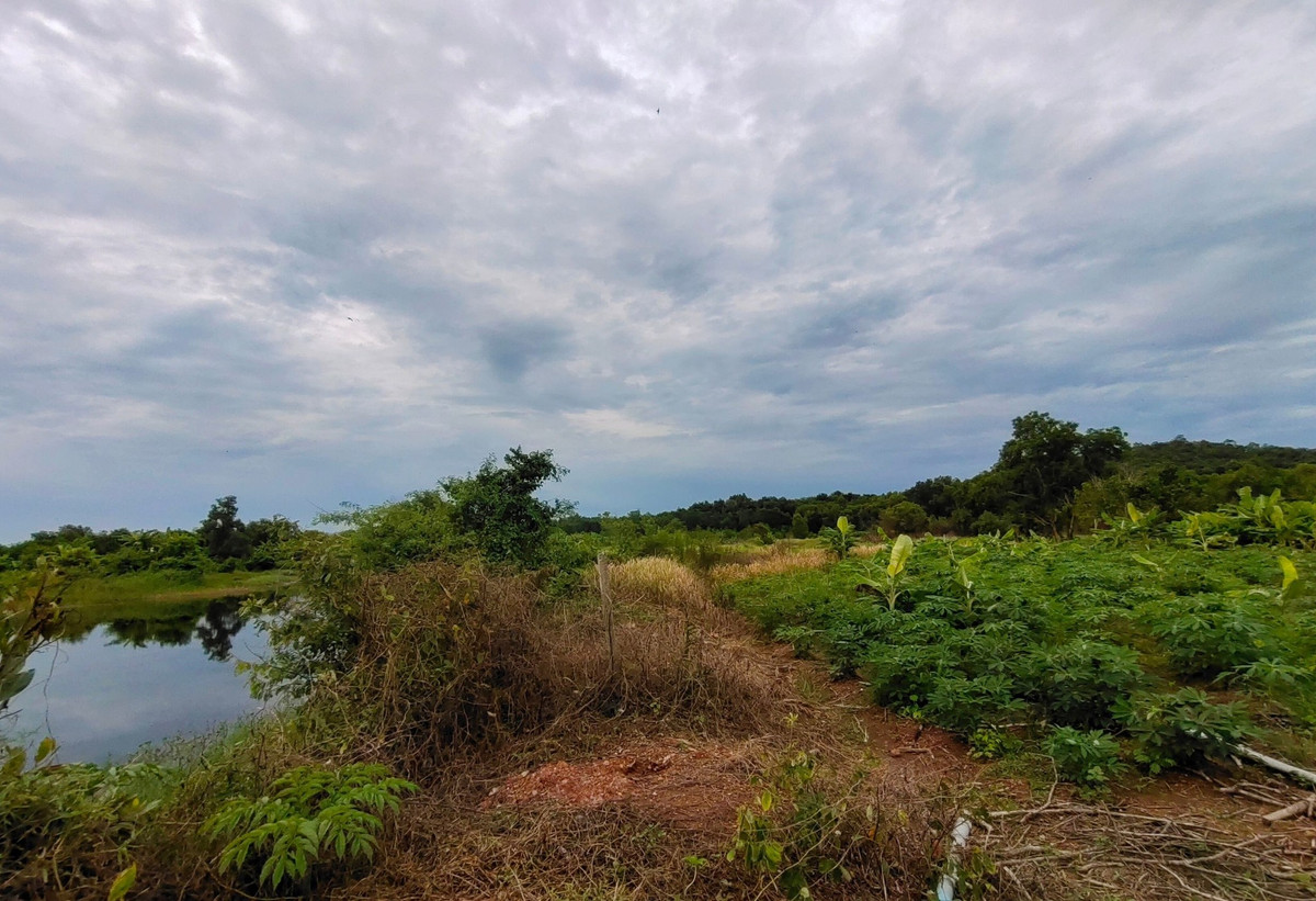 ขายที่ดินจันทบุรี : ขายที่ดินจันทบุรี แปลงใหญ่ 171.5 ไร่ หลังที่ว่าการอำเภอนายายอาม ราคาถูก ทำเลทอง ที่ดินสวนผลไม้แห่งเมืองจันทน์  #ที่ดินติดด้านหลังองค์การบริหารส่วนตำบลนายายอาม