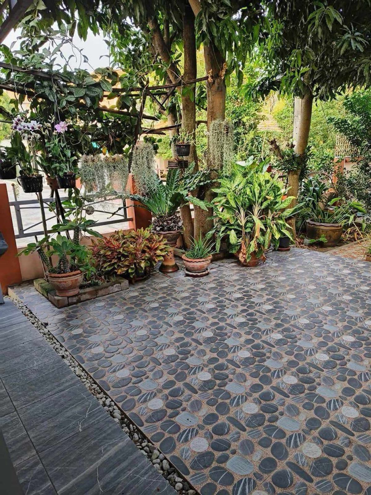 For SaleHouseSamut Prakan,Samrong : Urgent sale single house Kanlapapruek University, Bang Bo, Samut Prakan