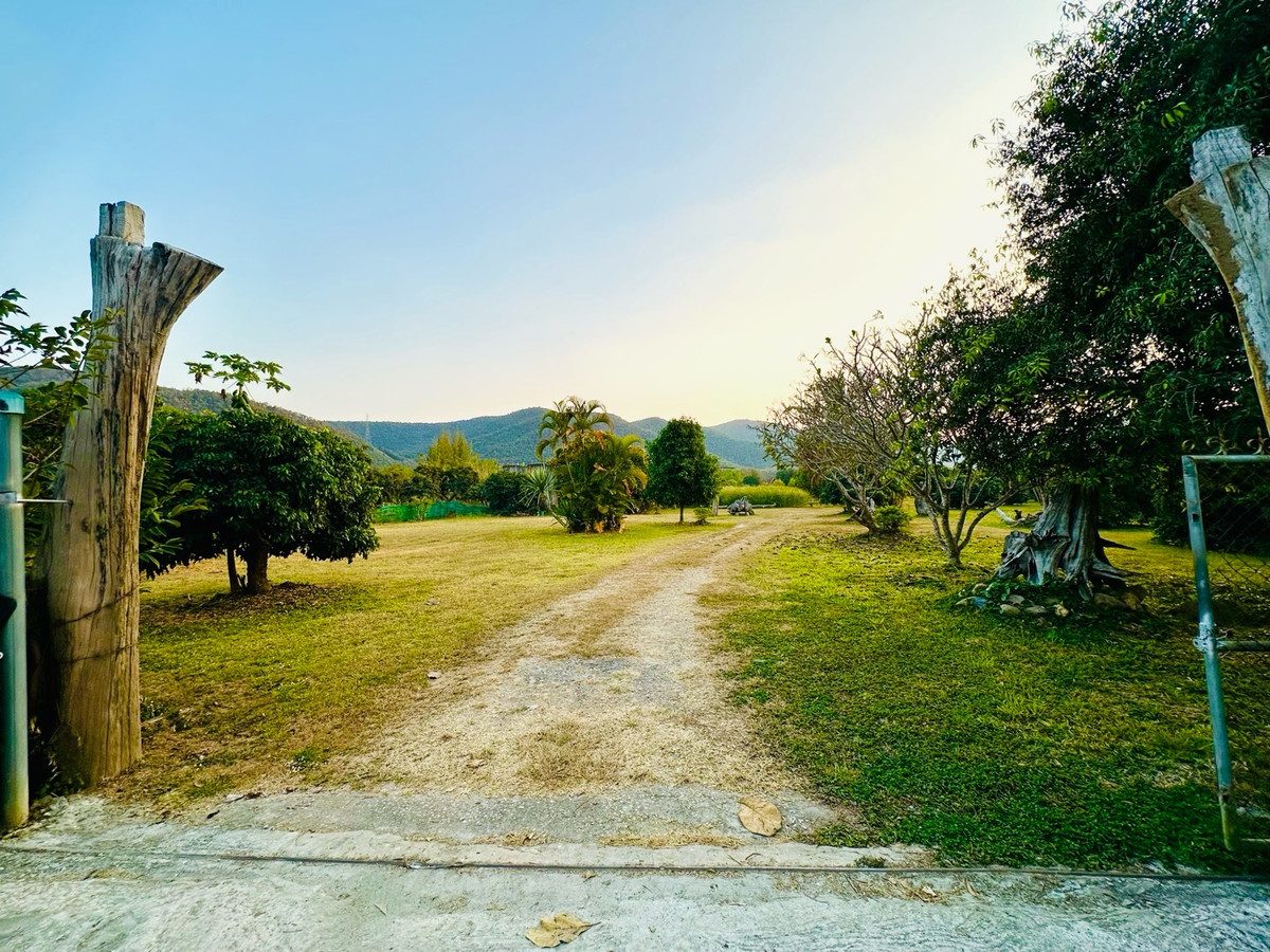 ขายที่ดินสุขุมวิท อโศก ทองหล่อ : ❗️ขายด่วน❗️ที่ดินบ้านสวนรีสอร์ทติดดอยบรรยากาศดีวิวสวย จ.ลำพูน