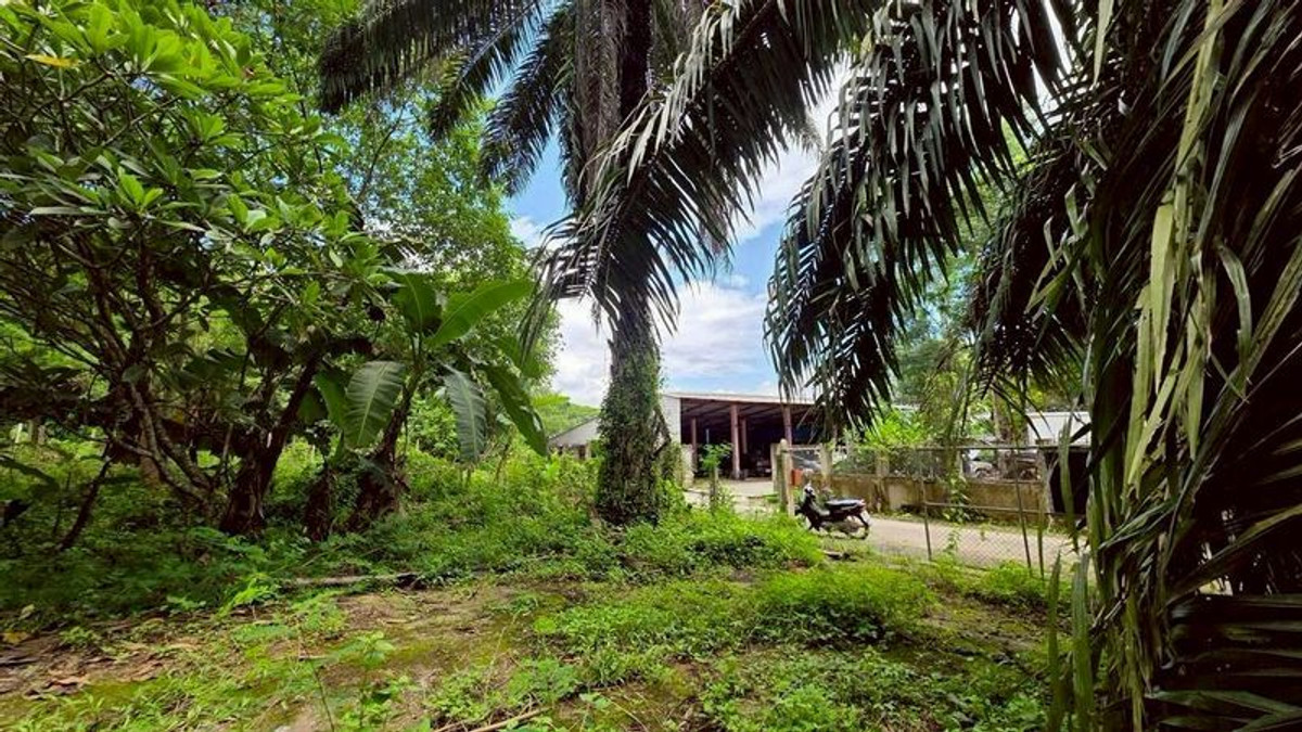 ขายกิจการโรงแรม & กิจการอพาร์ตเมนต์เชียงใหม่ : #ขายที่ดินแม่ริม​ ใกล้ทางขึ้นโป่งแยง ใกล้สวนสัตว์แมลงสยาม เนื้อที่​ 3-2-41 ไร่​ ยกแปลง​ 8.5 ล้าน​