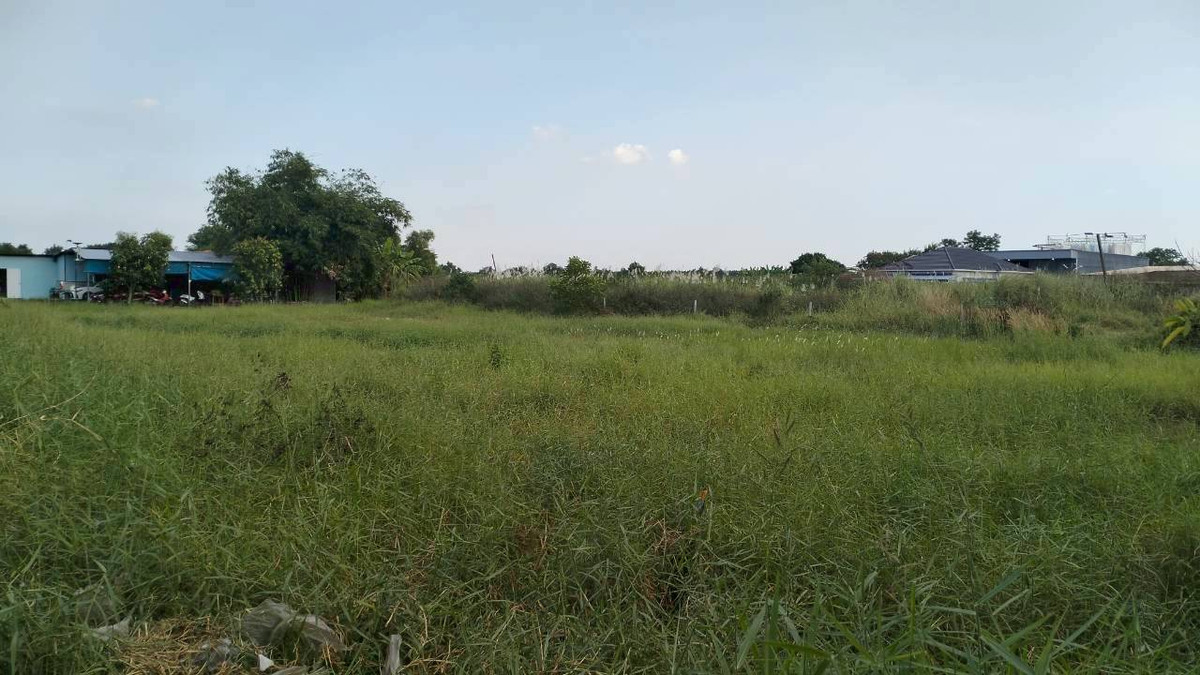 For SaleLandPathum Thani,Rangsit, Thammasat : Land 600 sq m. Soi Suwat 22 [line behind Yaem Sa-at School] Lat Sawai Subdistrict, Lam Luk Ka District, Pathum Thani Province.