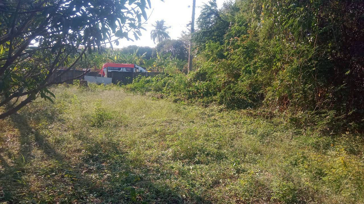 For SaleLandBang kae, Phetkasem : Land, Petchkasem Soi 88, area 200 square meters, Petchkasem Road, Soi Petchkasem 88 (Chusang 88), Bang Khae Nuea Subdistrict, Bang Khae District, Bangkok.