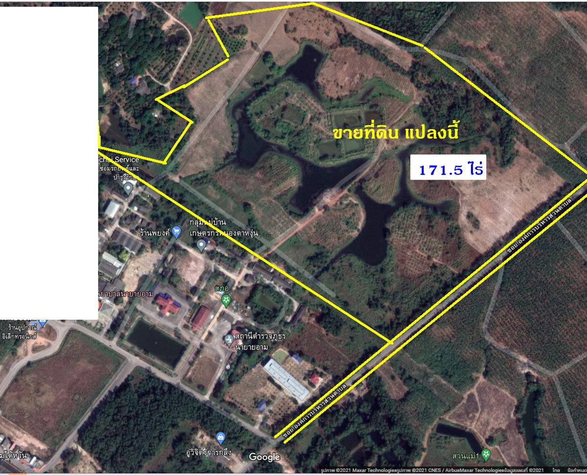 ขายที่ดินจันทบุรี : ขายที่ดินจันทบุรี แปลงใหญ่ 171.5 ไร่ หลังที่ว่าการอำเภอนายายอาม ราคาถูก ทำเลทอง ที่ดินสวนผลไม้แห่งเมืองจันทน์  #ที่ดินติดด้านหลังองค์การบริหารส่วนตำบลนายายอาม