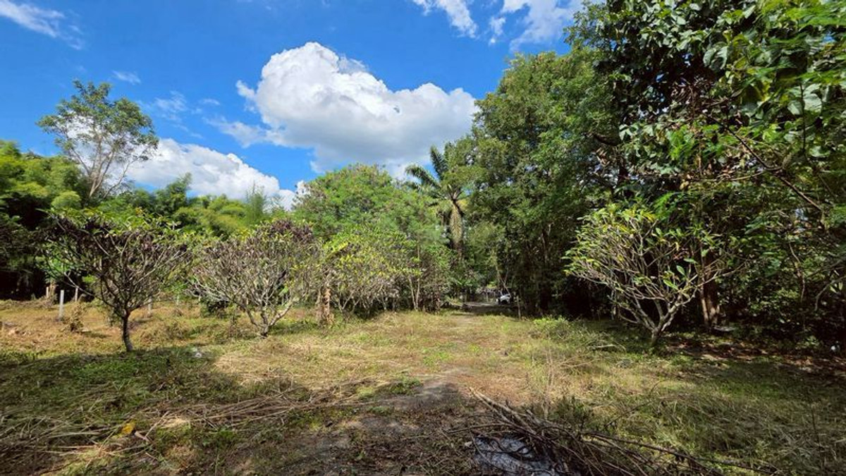 ขายกิจการโรงแรม & กิจการอพาร์ตเมนต์เชียงใหม่ : #ขายที่ดินแม่ริม​ ใกล้ทางขึ้นโป่งแยง ใกล้สวนสัตว์แมลงสยาม เนื้อที่​ 3-2-41 ไร่​ ยกแปลง​ 8.5 ล้าน​