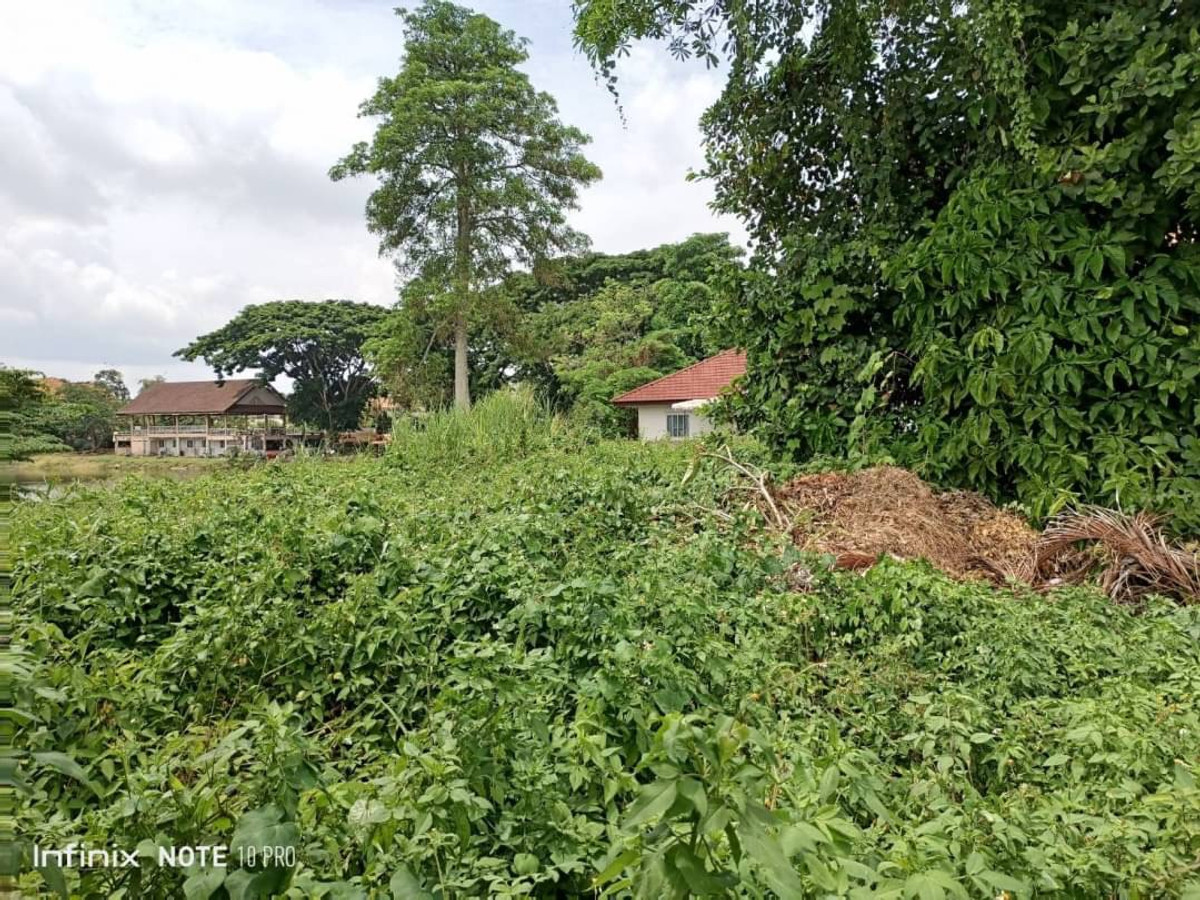 ขายที่ดินเชียงราย : ที่ดิน อ.เมืองเชียงราย ขายเท่าประเมิน 