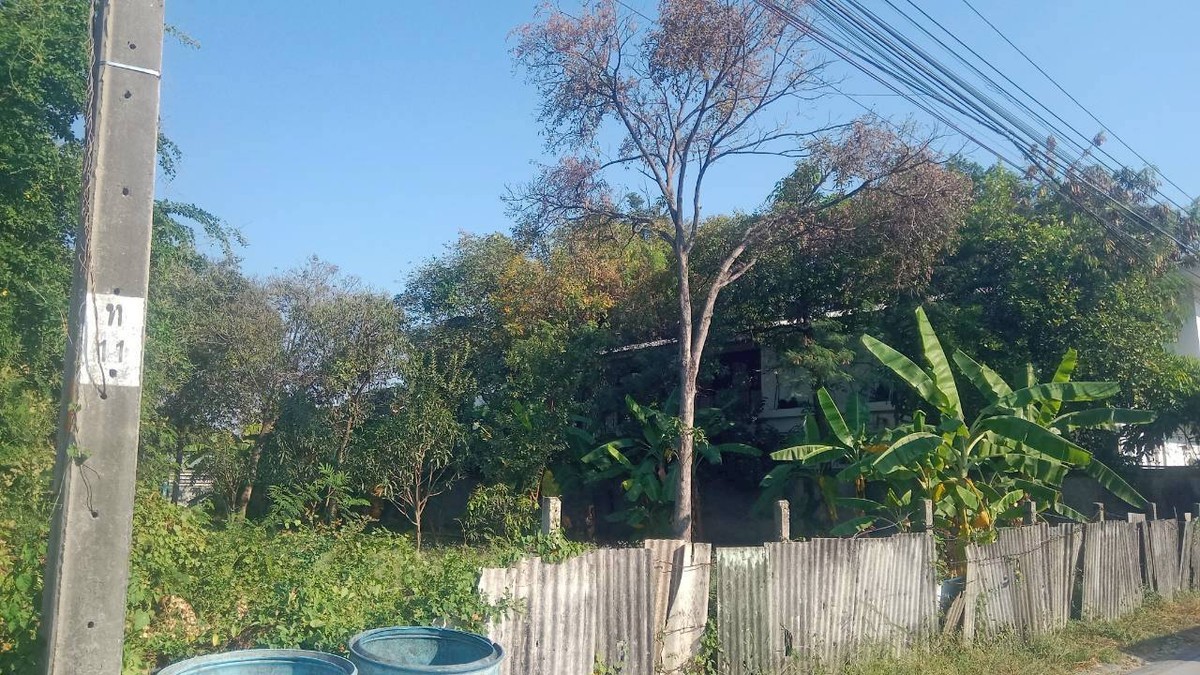 For SaleLandBang kae, Phetkasem : Land, Petchkasem Soi 88, area 200 square meters, Petchkasem Road, Soi Petchkasem 88 (Chusang 88), Bang Khae Nuea Subdistrict, Bang Khae District, Bangkok.