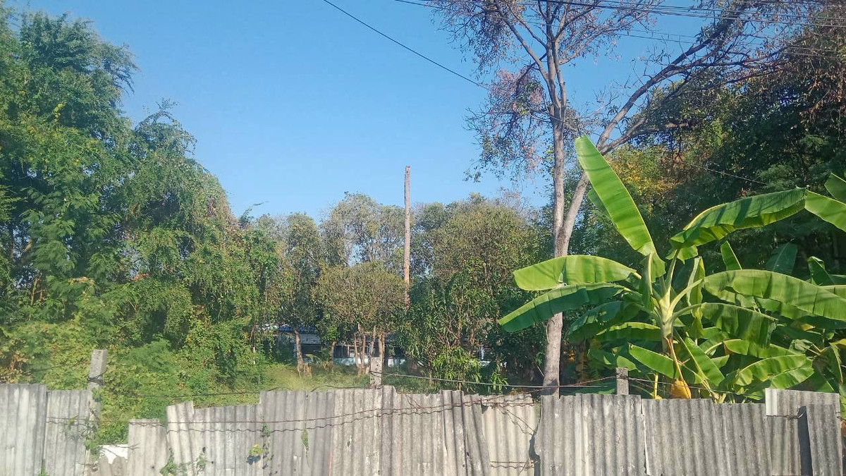For SaleLandBang kae, Phetkasem : Land, Petchkasem Soi 88, area 200 square meters, Petchkasem Road, Soi Petchkasem 88 (Chusang 88), Bang Khae Nuea Subdistrict, Bang Khae District, Bangkok.