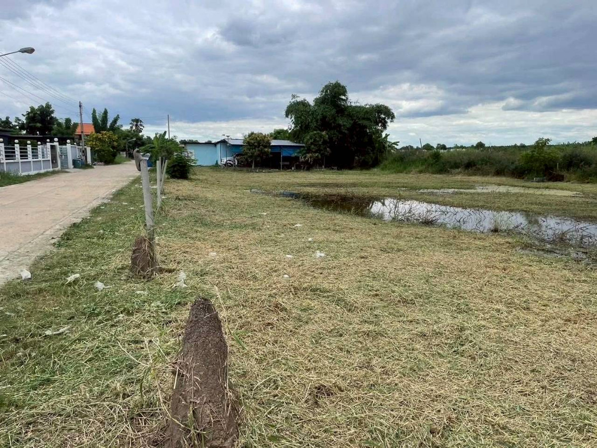 ขายที่ดินปทุมธานี รังสิต ธรรมศาสตร์ : ที่ดิน 600 ตรว. ซ.สุวาส 22  [เส้นหลัง ร.ร. แย้มสะอาด] ต.ลาดสวาย อ.ลำลูกกา จ.ปทุมธานี