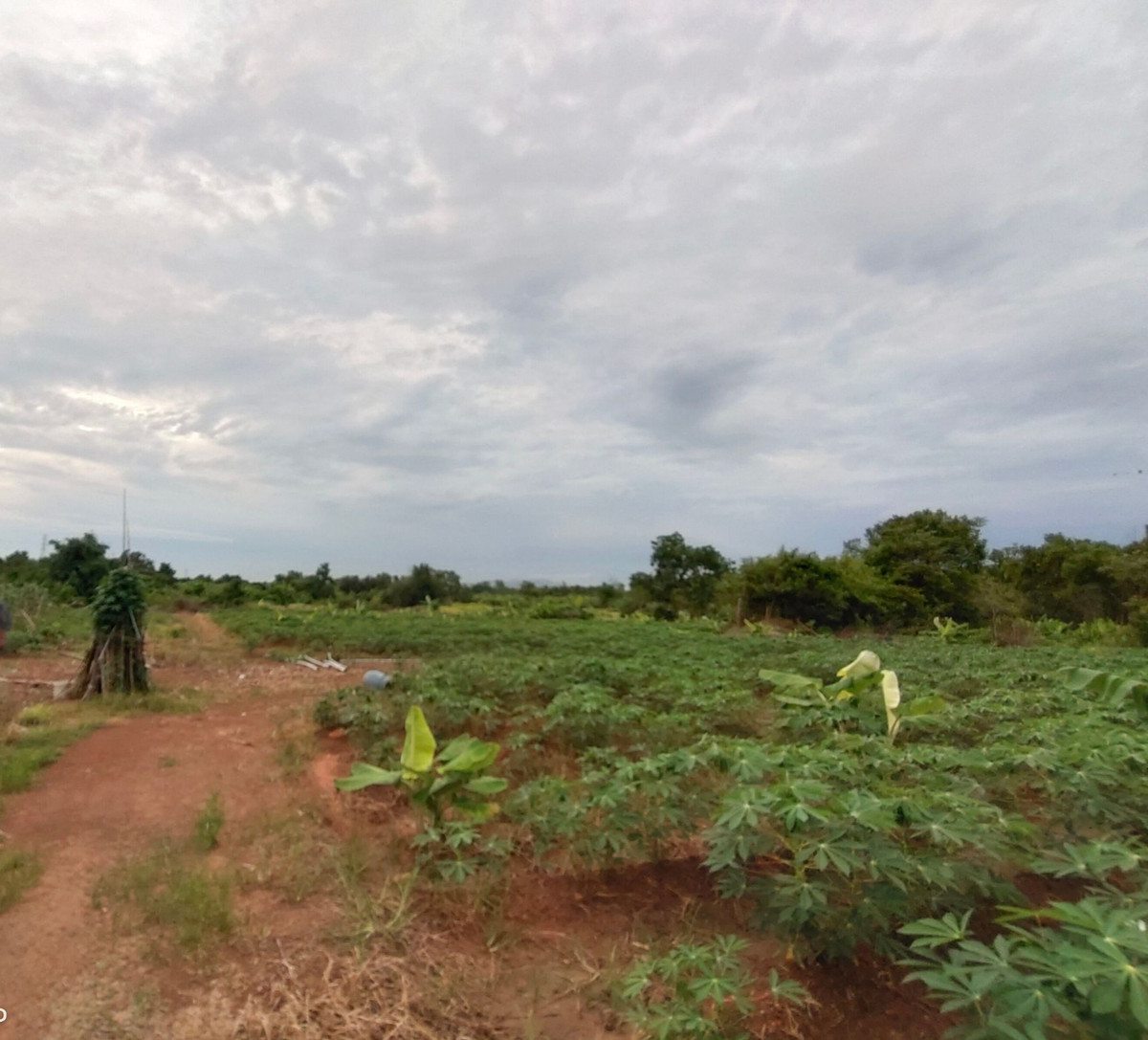 ขายที่ดินจันทบุรี : ขายที่ดินจันทบุรี แปลงใหญ่ 171.5 ไร่ หลังที่ว่าการอำเภอนายายอาม ราคาถูก ทำเลทอง ที่ดินสวนผลไม้แห่งเมืองจันทน์  #ที่ดินติดด้านหลังองค์การบริหารส่วนตำบลนายายอาม