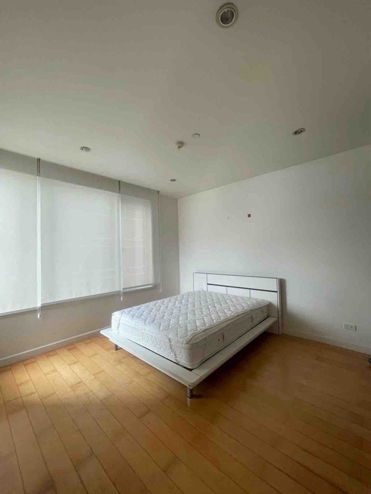 ขายคอนโดวิทยุ ชิดลม หลังสวน : ขายคอนโดชิดลม 1 ห้องนอน เหมาะลงทุน ปล่อยเช่าง่าย รองรับสัตว์เลี้ยง