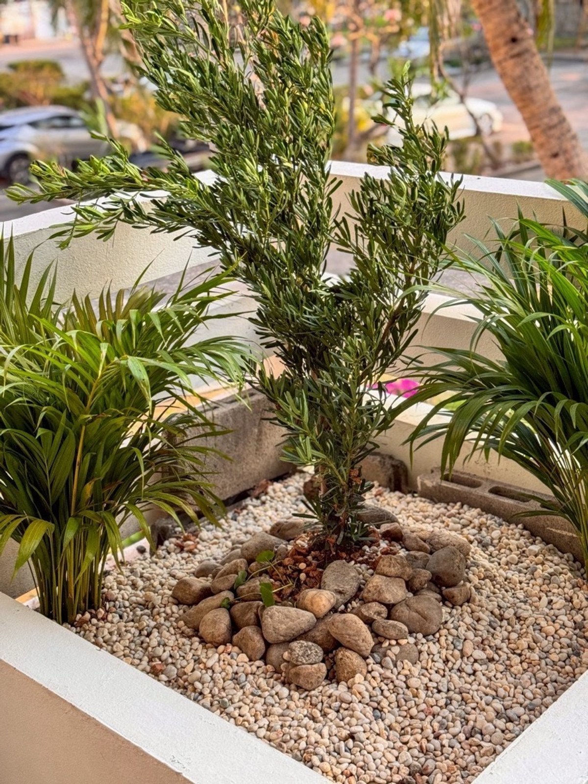 คอนโดพัทยา บางแสน ชลบุรี สัตหีบ : [For Sale/Rent] Luxury Beachfront Condo @ Grand Condotel Jomtien - 3BR / 197 SQM | Small Pets Considered | Sale 13.9 MB | Rent 55k per Month