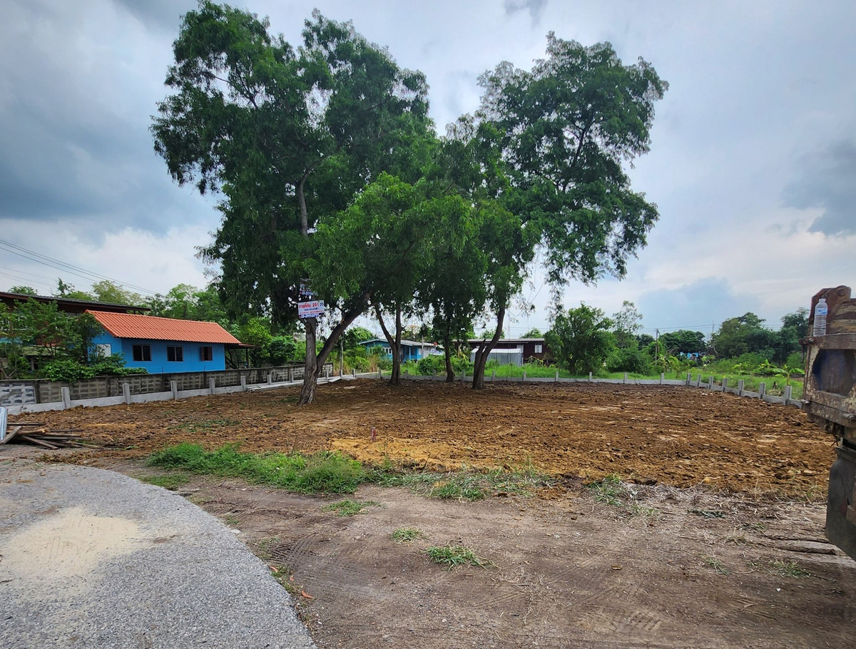 ขายที่ดินปทุมธานี รังสิต ธรรมศาสตร์ : ขายที่ดิน 201 ตรว. ถมแล้ว ติดถนนเมน ติดสถานีรถไฟฟ้าสายสีแดงเข้ม ส่วนต่อขยาย สถานีเชียงราก