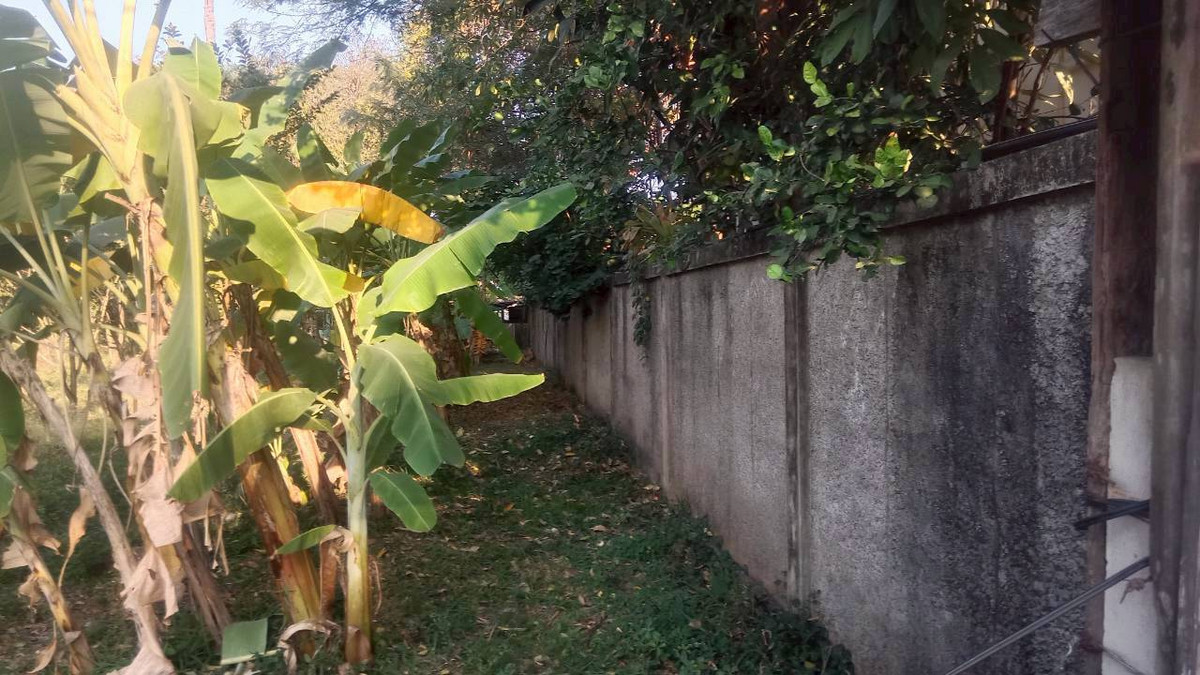 For SaleLandBang kae, Phetkasem : Land, Petchkasem Soi 88, area 200 square meters, Petchkasem Road, Soi Petchkasem 88 (Chusang 88), Bang Khae Nuea Subdistrict, Bang Khae District, Bangkok.