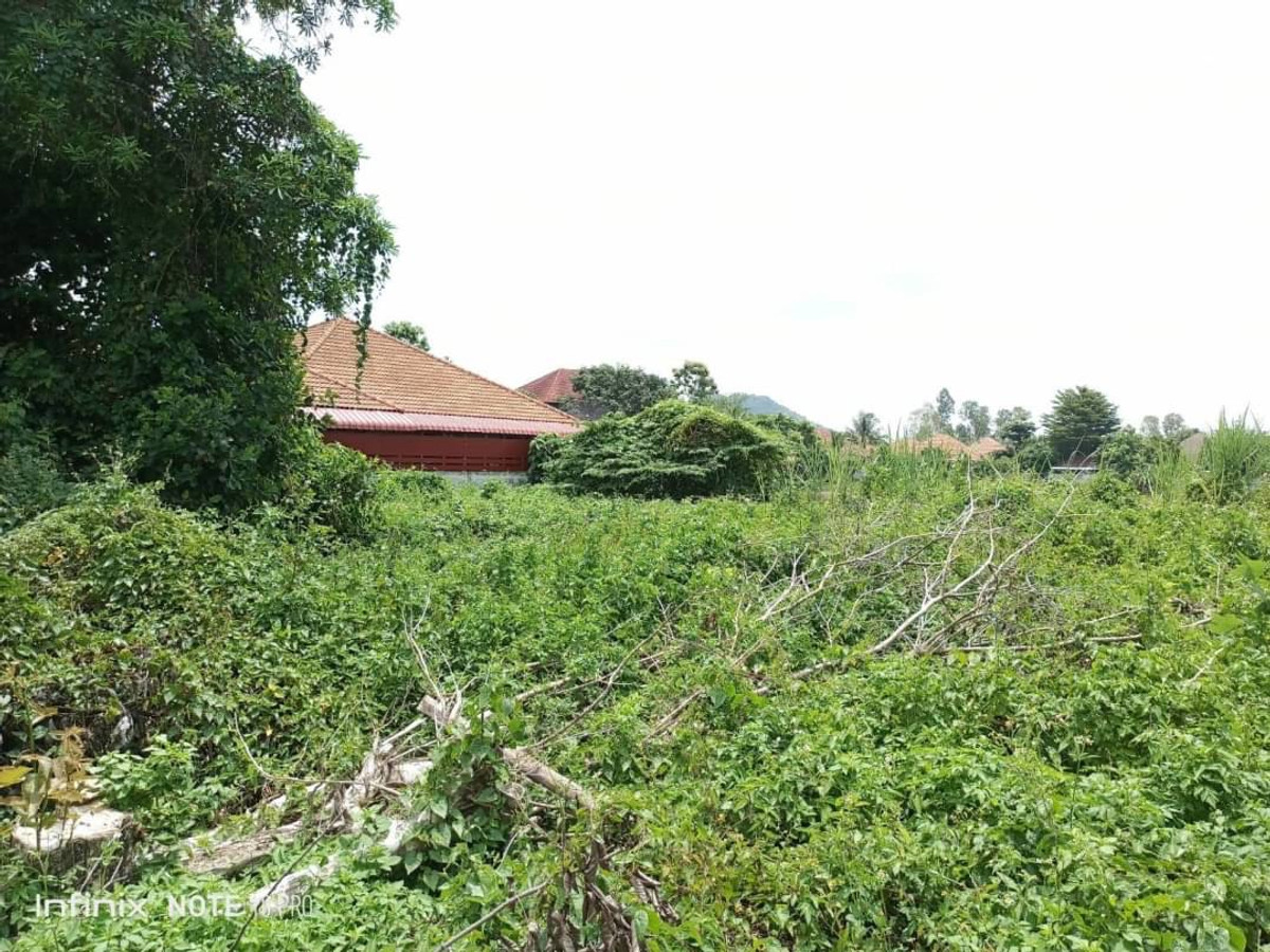 ขายที่ดินเชียงราย : ที่ดิน อ.เมืองเชียงราย ขายเท่าประเมิน 