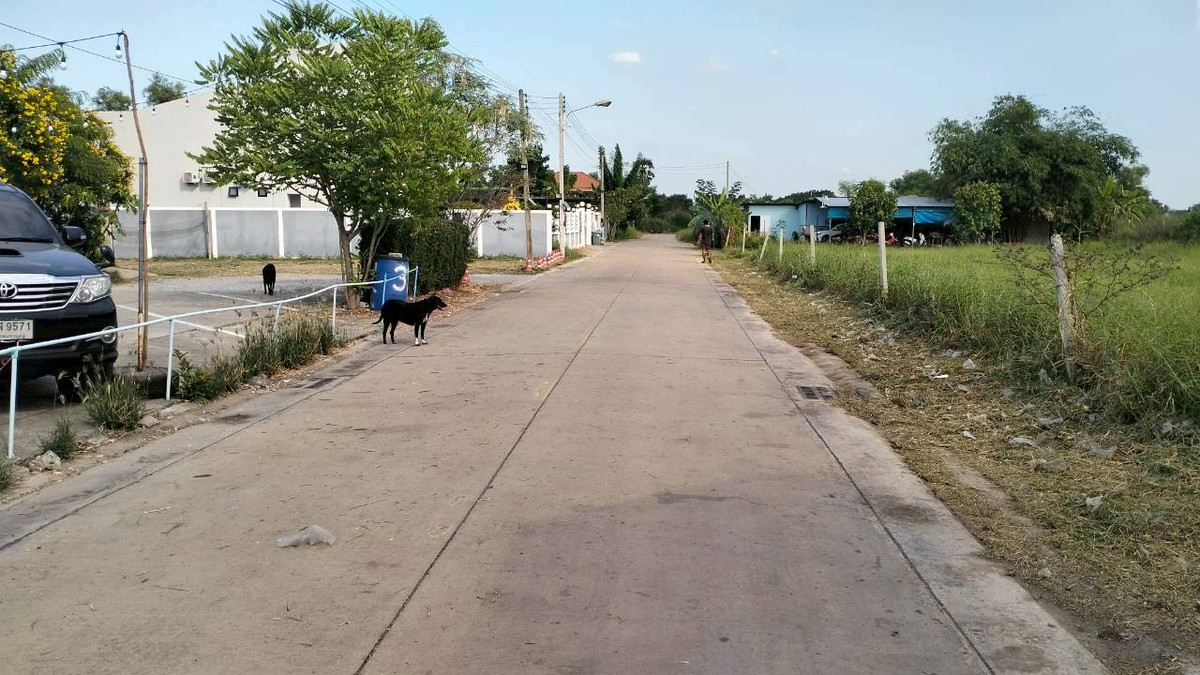 ขายที่ดินปทุมธานี รังสิต ธรรมศาสตร์ : ที่ดิน 600 ตรว. ซ.สุวาส 22  [เส้นหลัง ร.ร. แย้มสะอาด] ต.ลาดสวาย อ.ลำลูกกา จ.ปทุมธานี