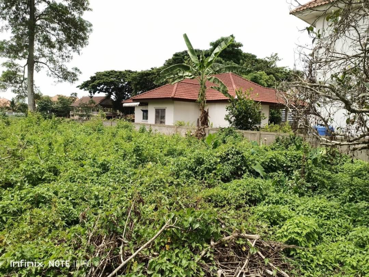 ขายที่ดินเชียงราย : ที่ดิน อ.เมืองเชียงราย ขายเท่าประเมิน 