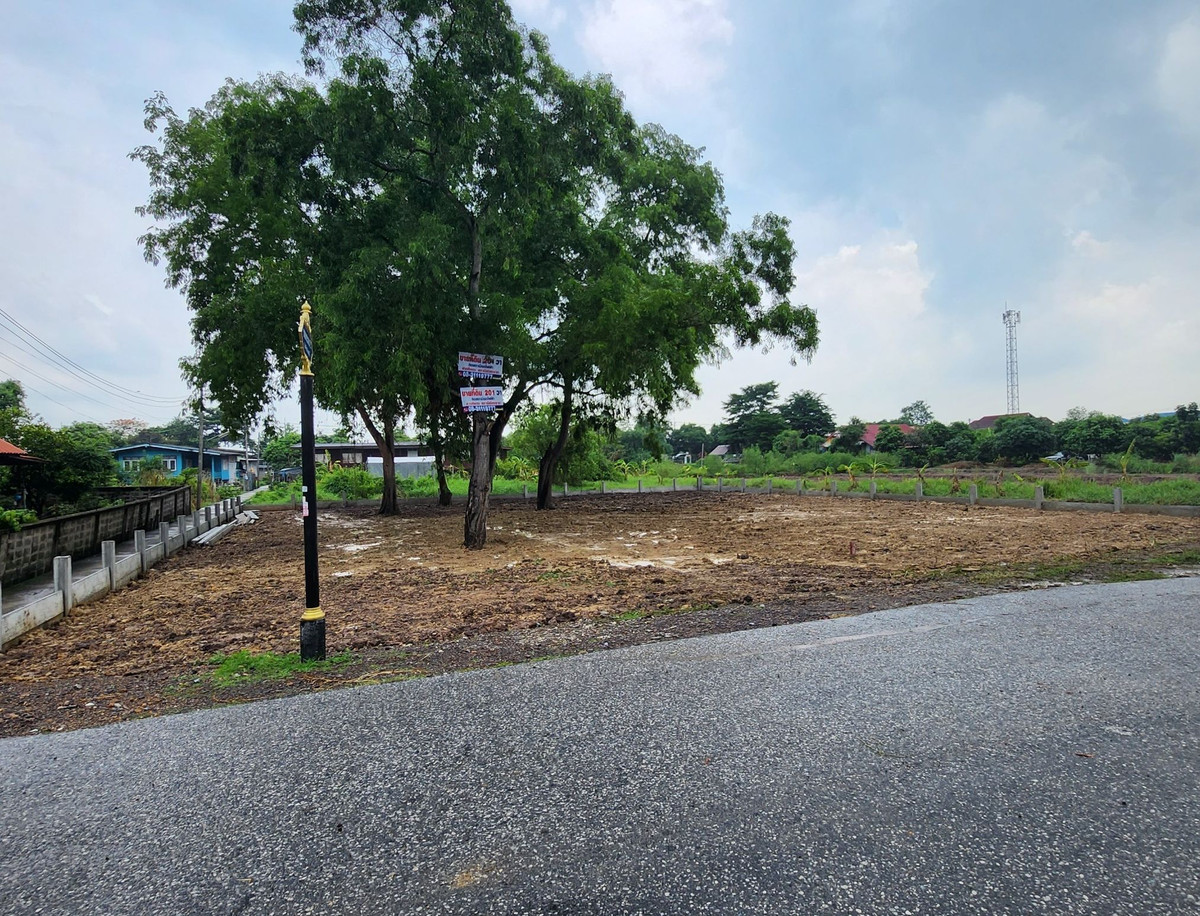 ขายที่ดินปทุมธานี รังสิต ธรรมศาสตร์ : ขายที่ดิน 201 ตรว. ถมแล้ว ติดถนนเมน ติดสถานีรถไฟฟ้าสายสีแดงเข้ม ส่วนต่อขยาย สถานีเชียงราก